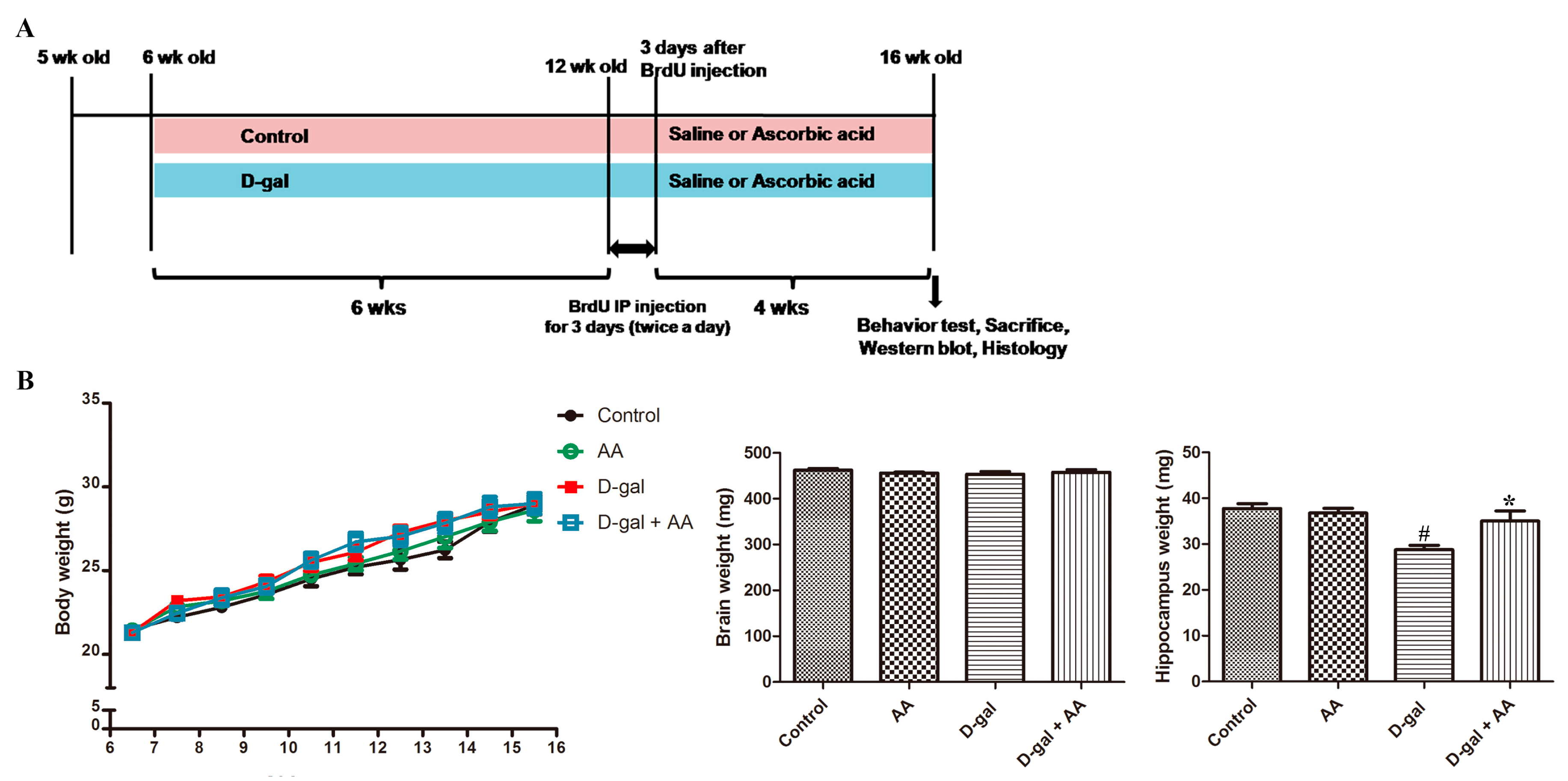 Ivermectin drug interactions in humans Ivermectin drug interactions in humans