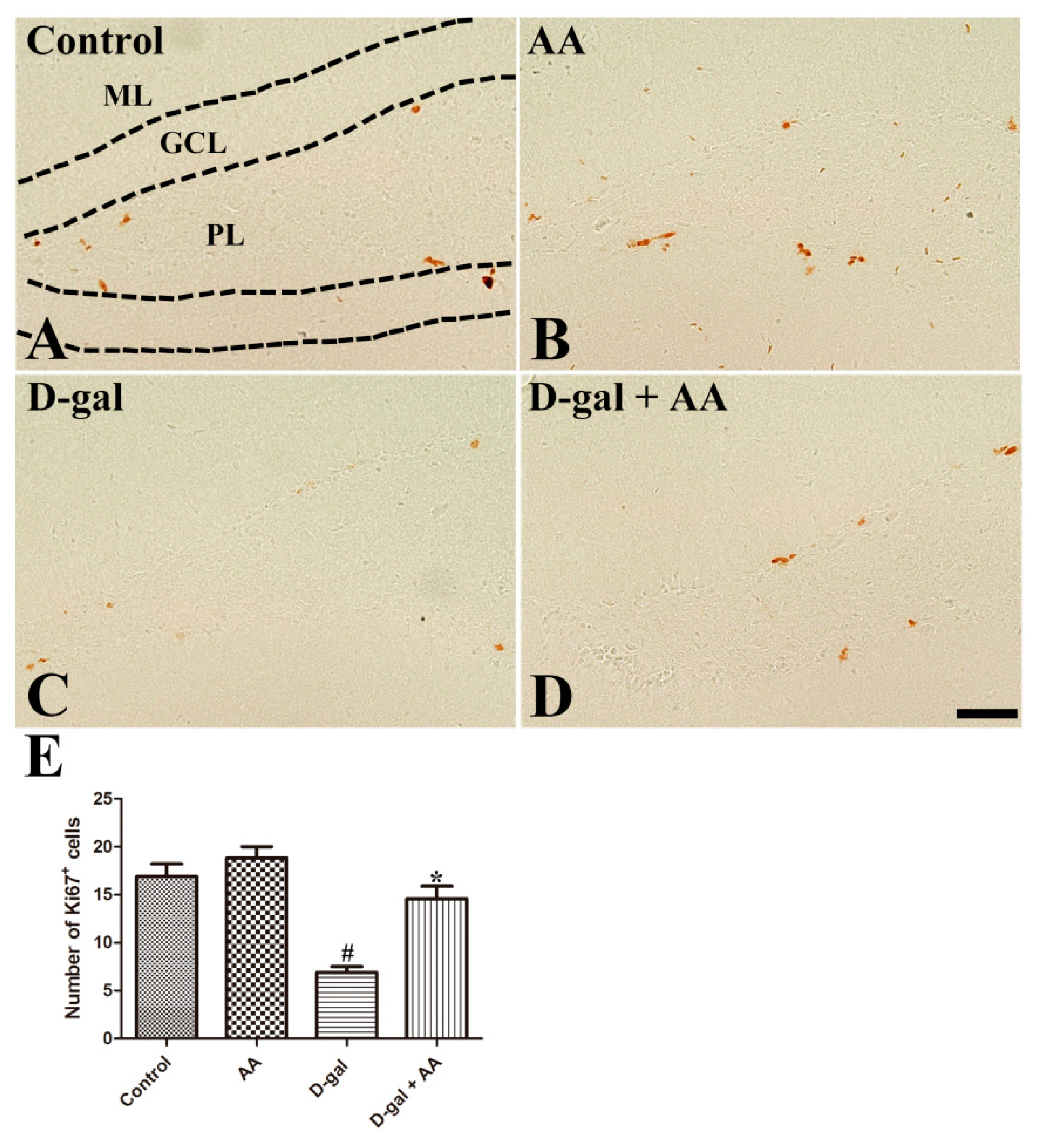 Nutrients 11 00176 g002