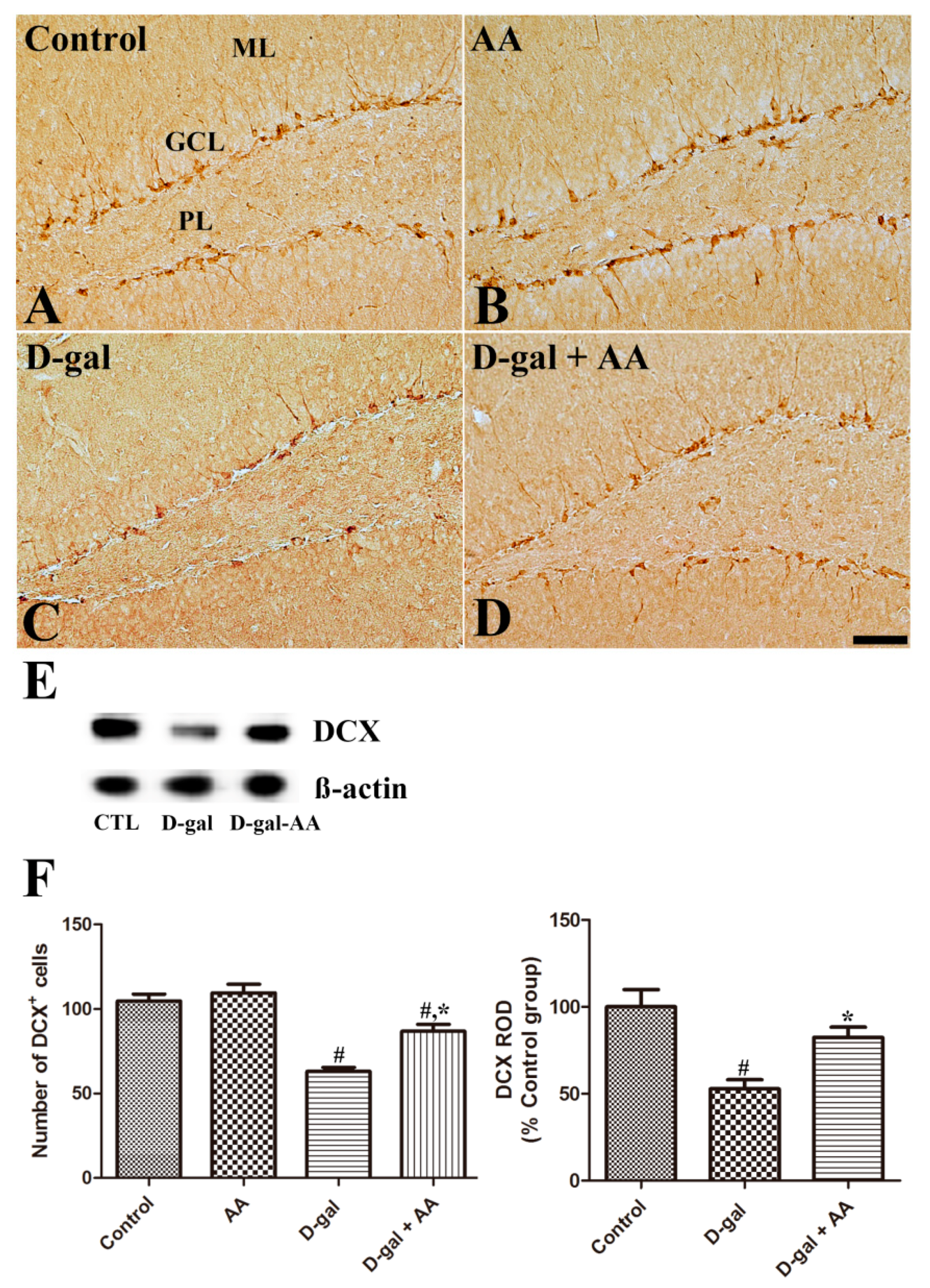 Nutrients 11 00176 g003