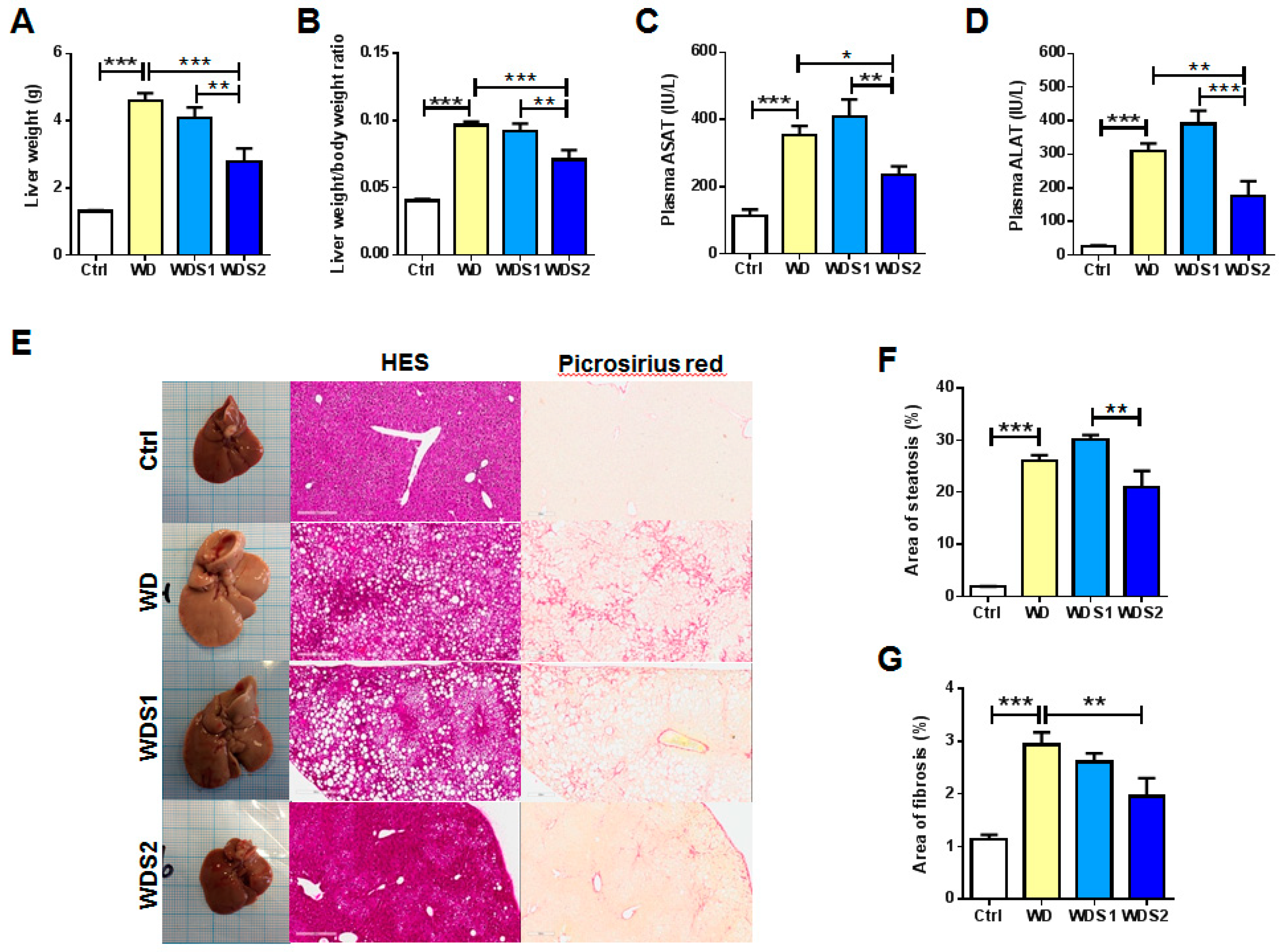 Nutrients 11 00194 g002 Nutrients 11 00194 g002