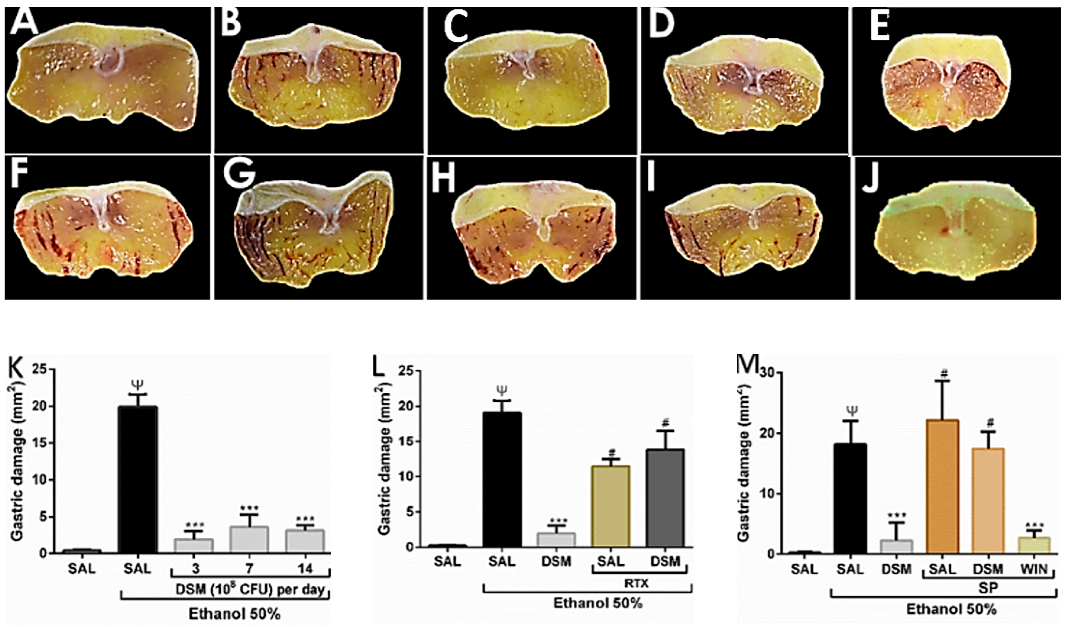 Nutrients 11 00208 g001 Nutrients 11 00208 g001