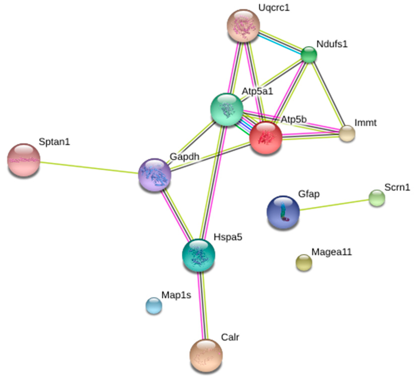 Nutrients 11 00219 g003 Nutrients 11 00219 g003