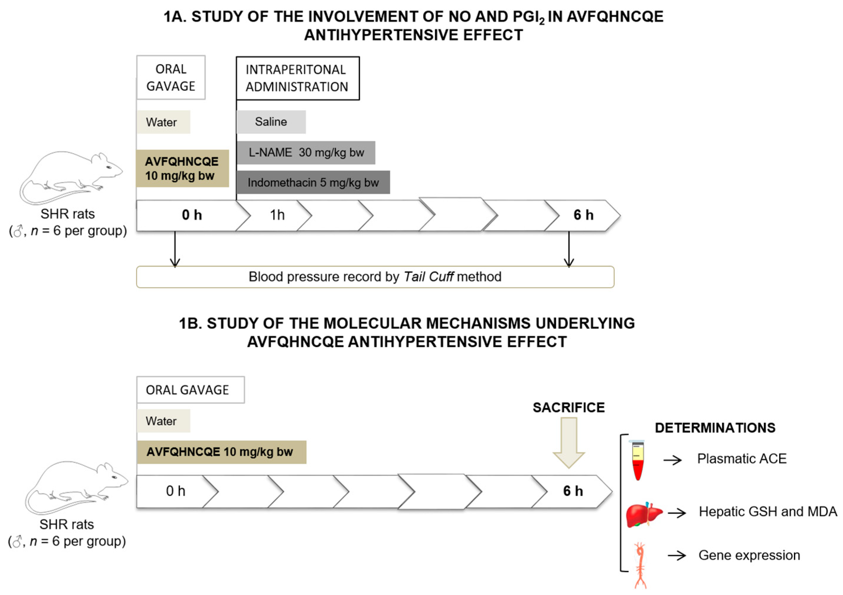 Nutrients 11 00225 g001 Nutrients 11 00225 g001