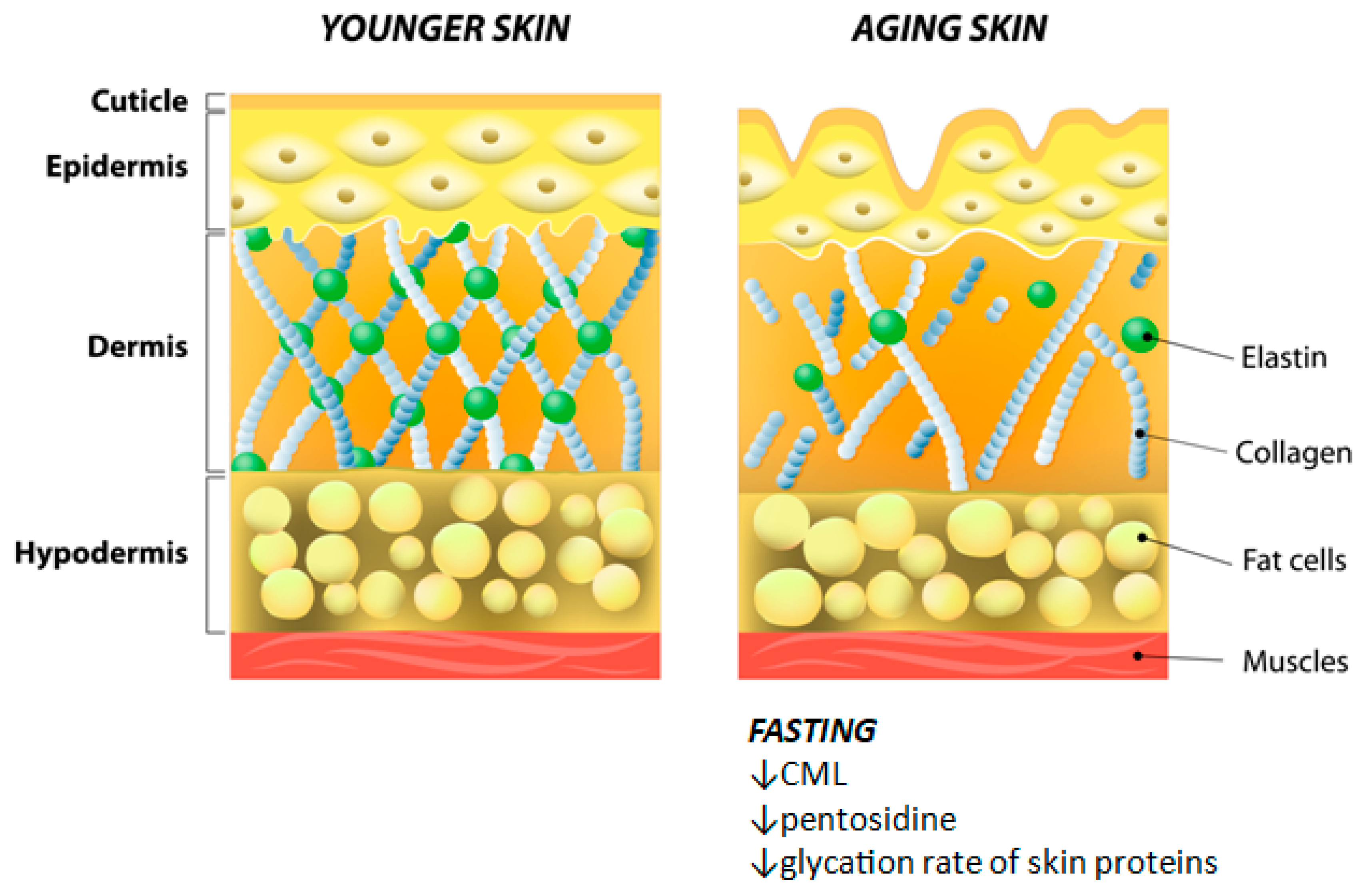 Nutrients 11 00249 g003