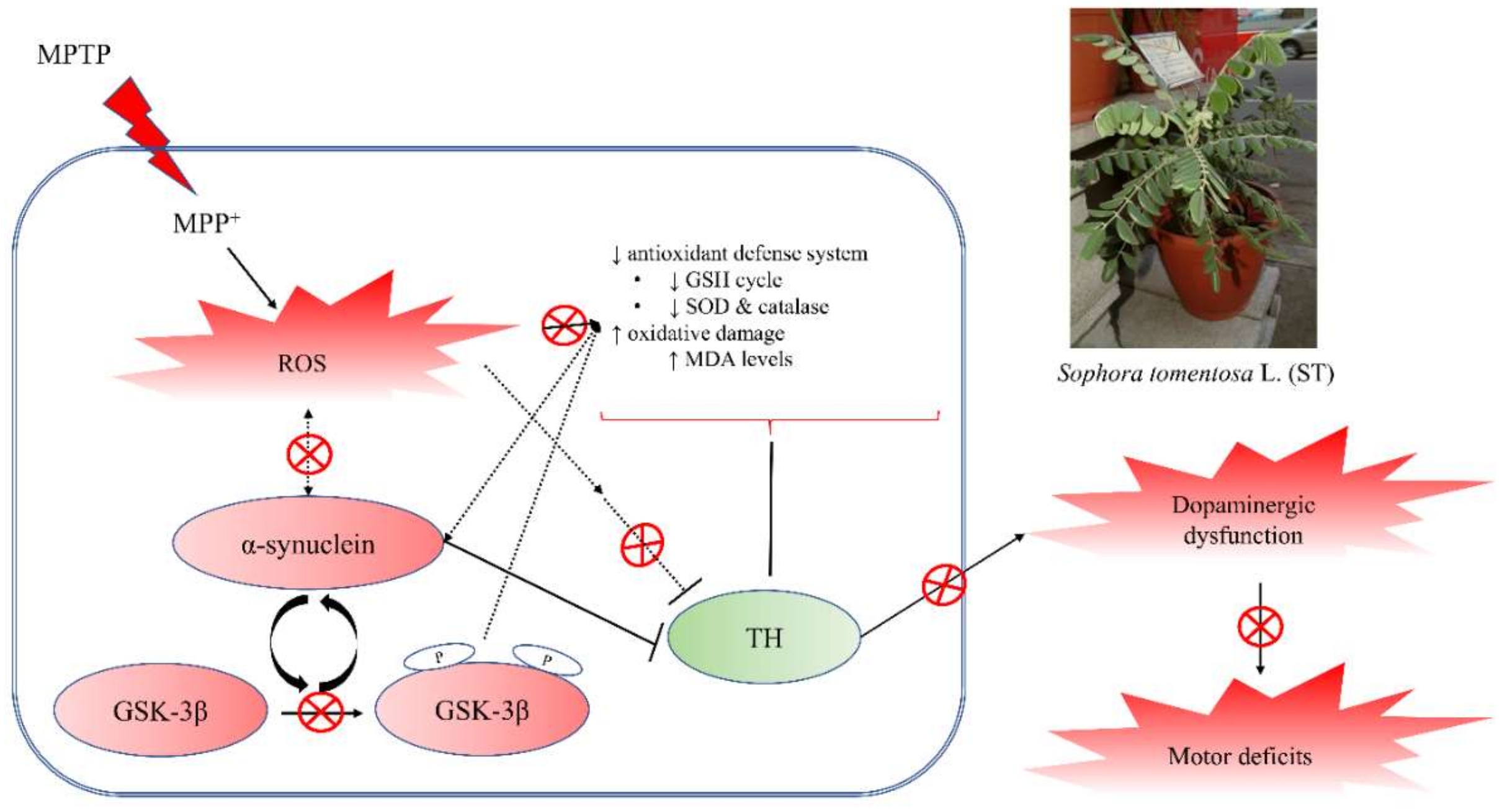 Nutrients 11 00252 g008