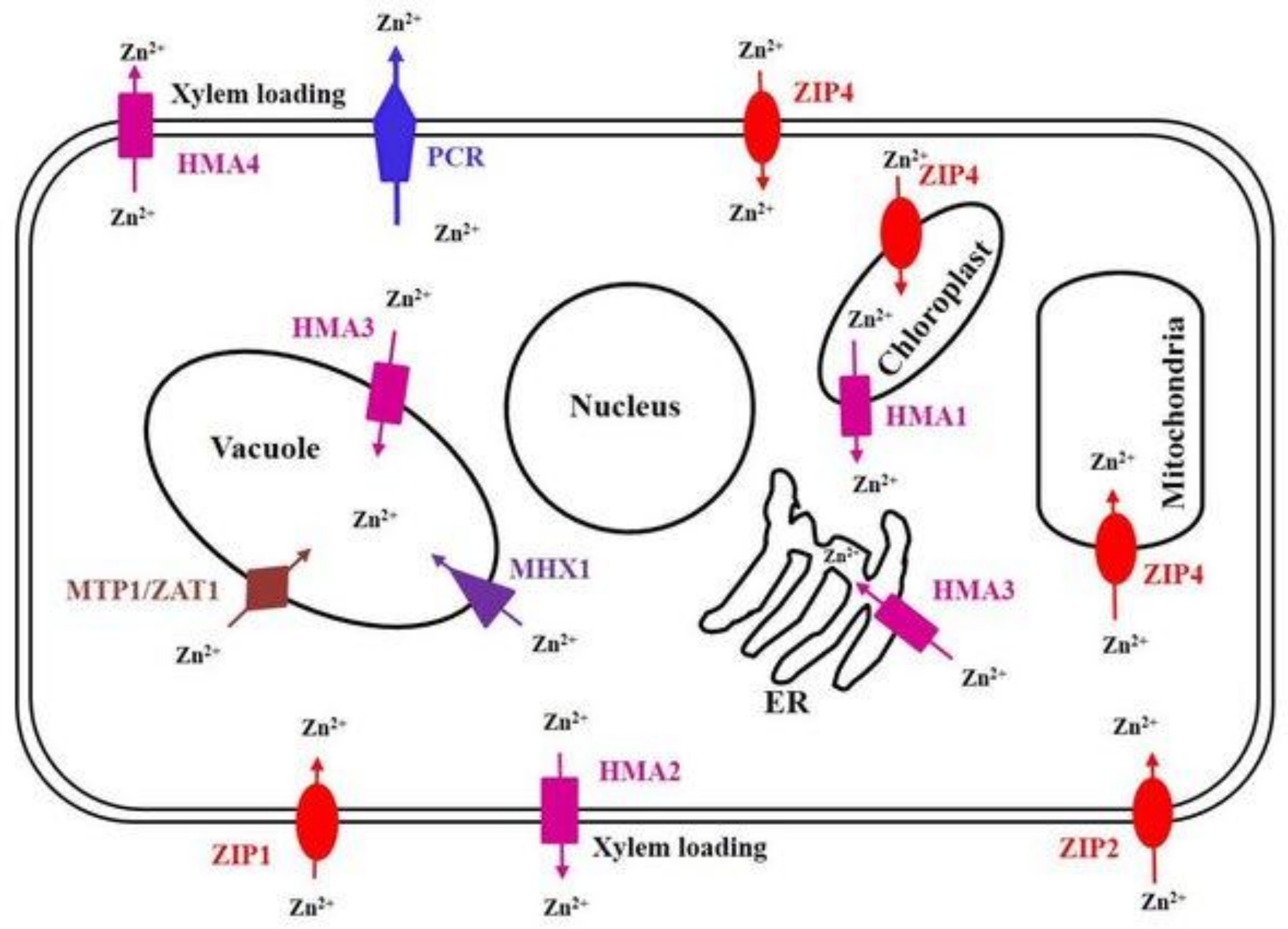Nutrients 11 00253 g002