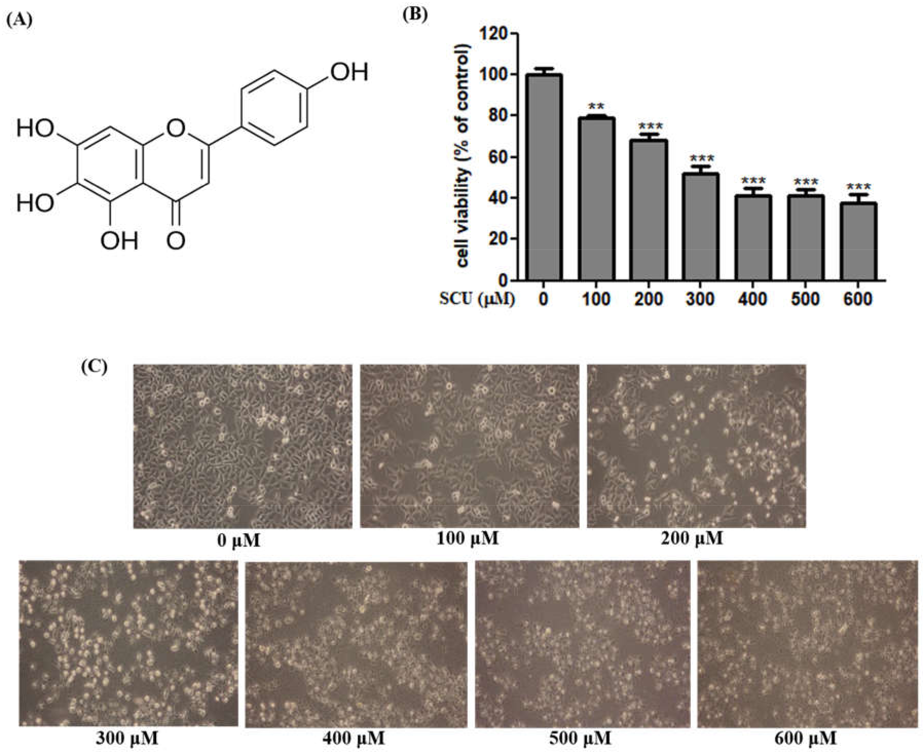 Nutrients 11 00263 g001