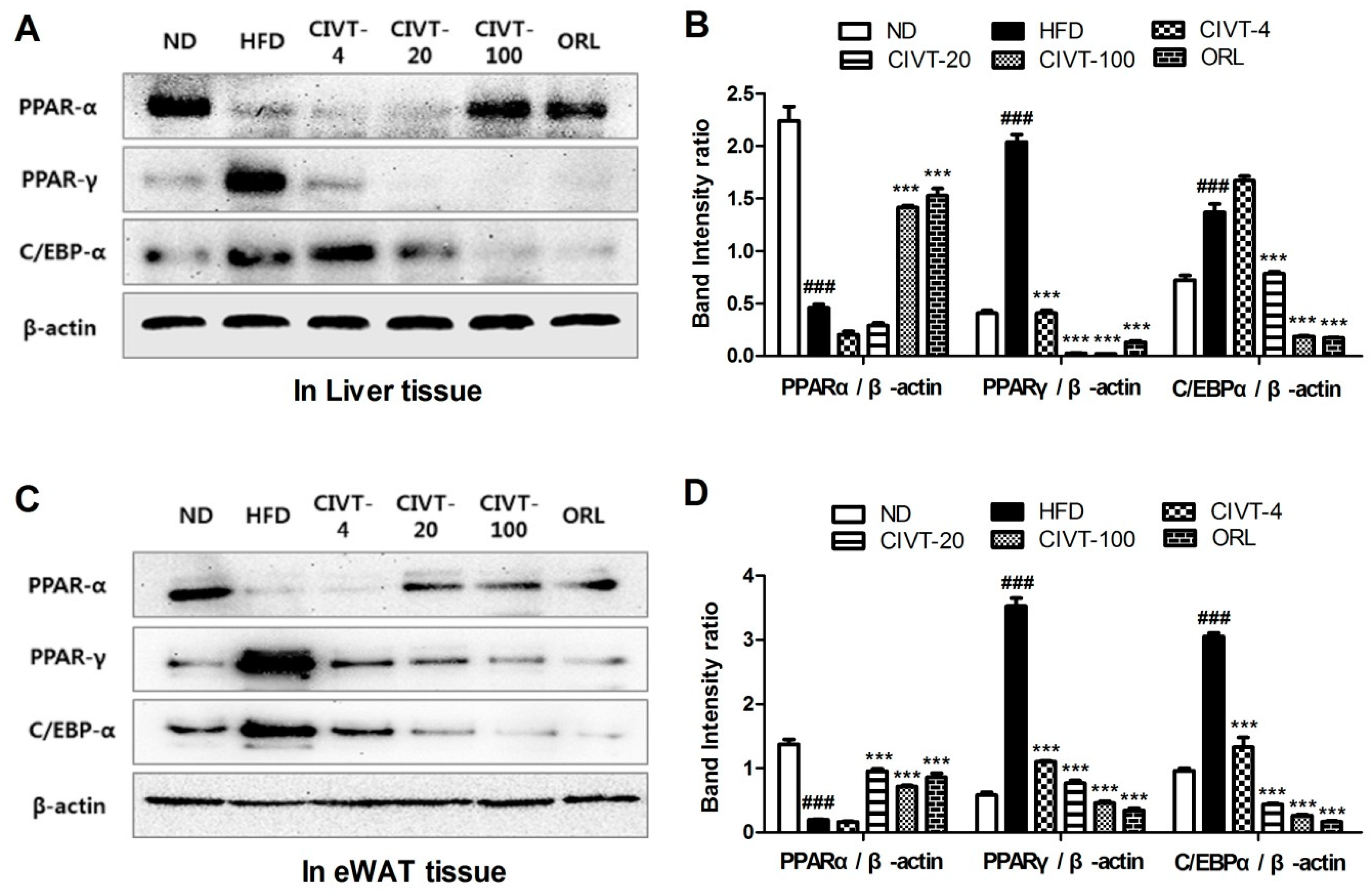 Nutrients 11 00269 g004