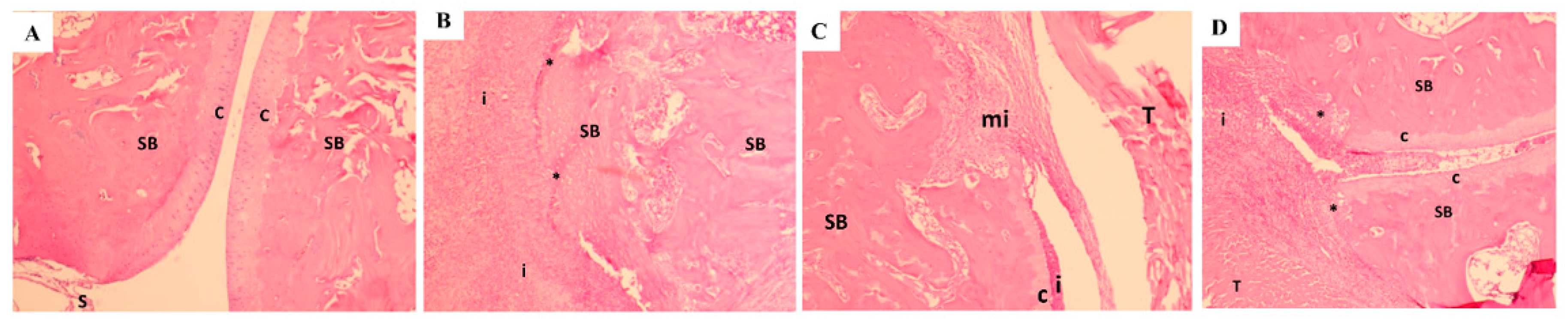 Nutrients 11 00272 g012