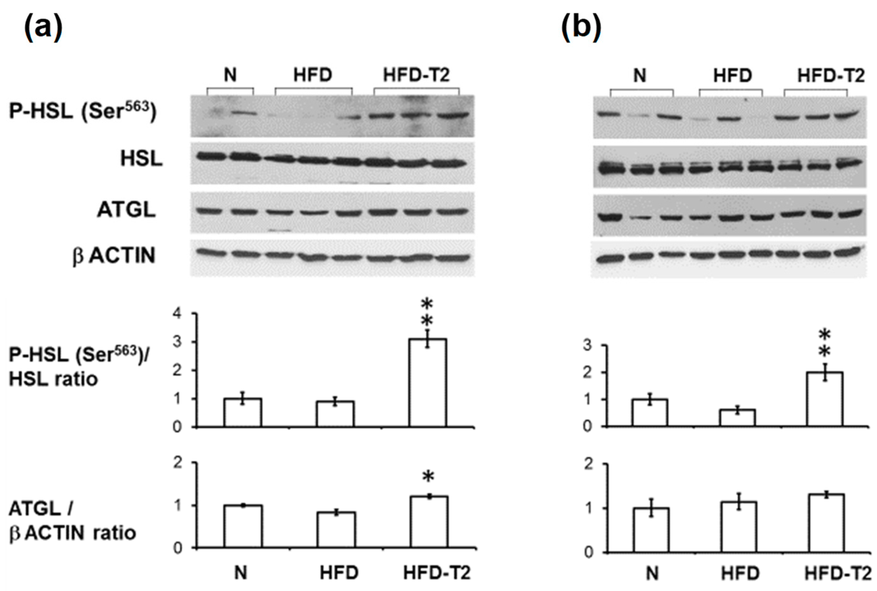 Nutrients 11 00278 g003 Nutrients 11 00278 g003