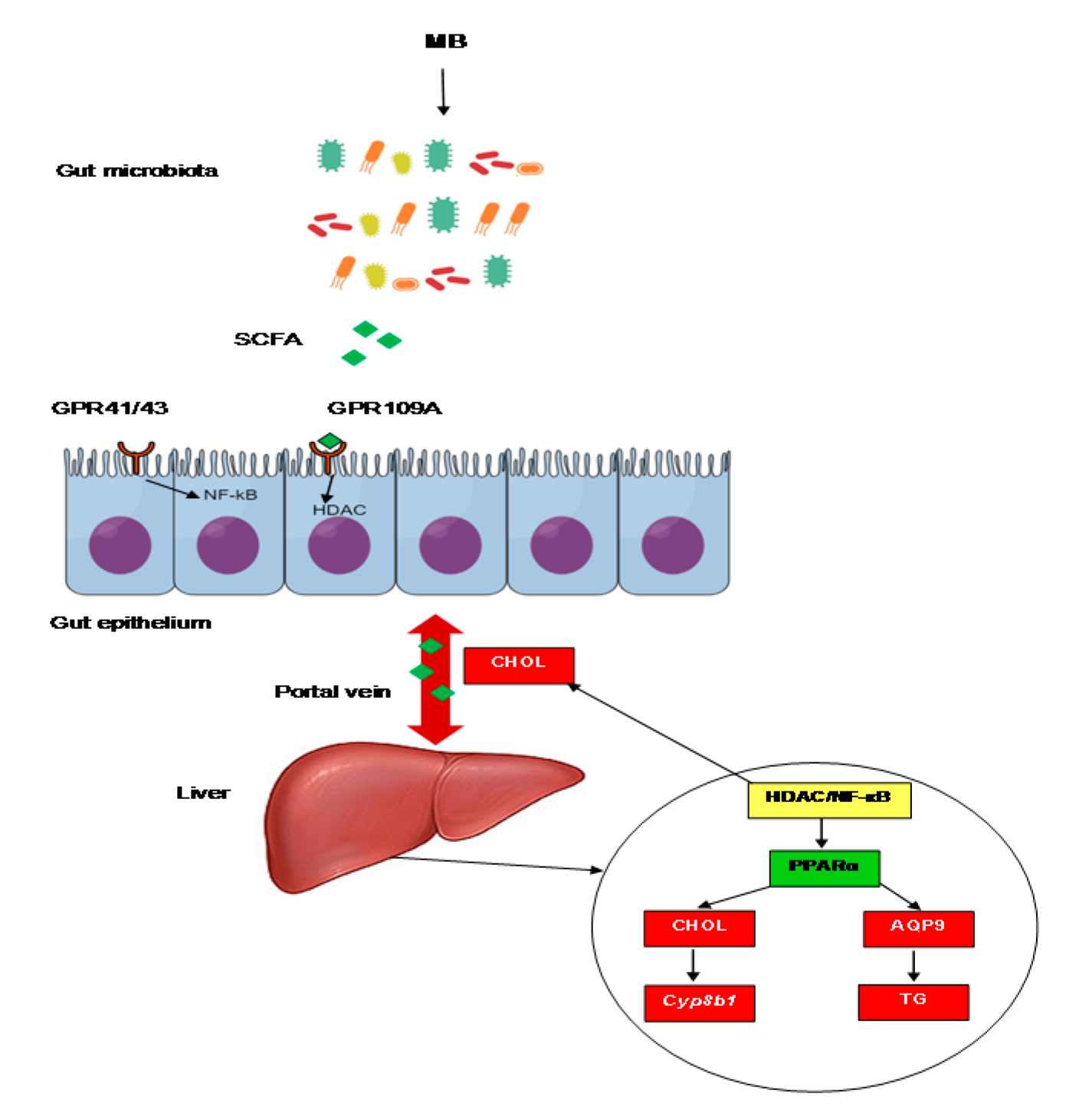 Nutrients 11 00308 g006