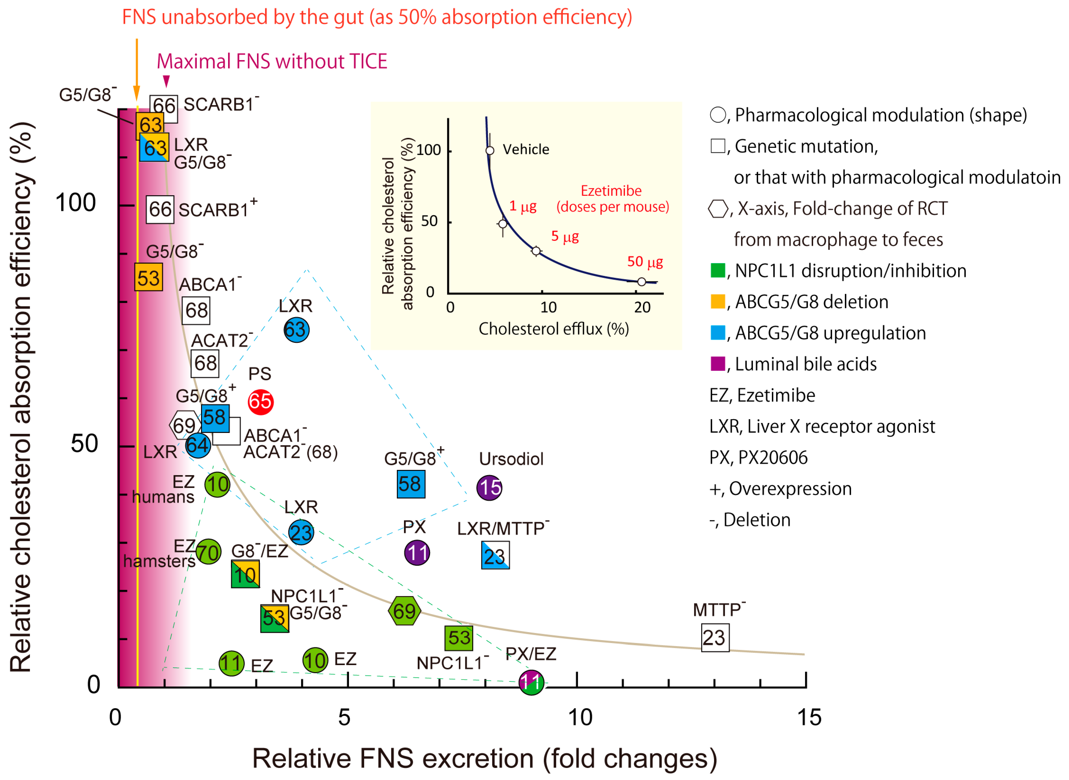 Nutrients Free Full Text A Newly Integrated Model For Intestinal Cholesterol Absorption And Efflux Reappraises How Plant Sterol Intake Reduces Circulating Cholesterol Levels Html