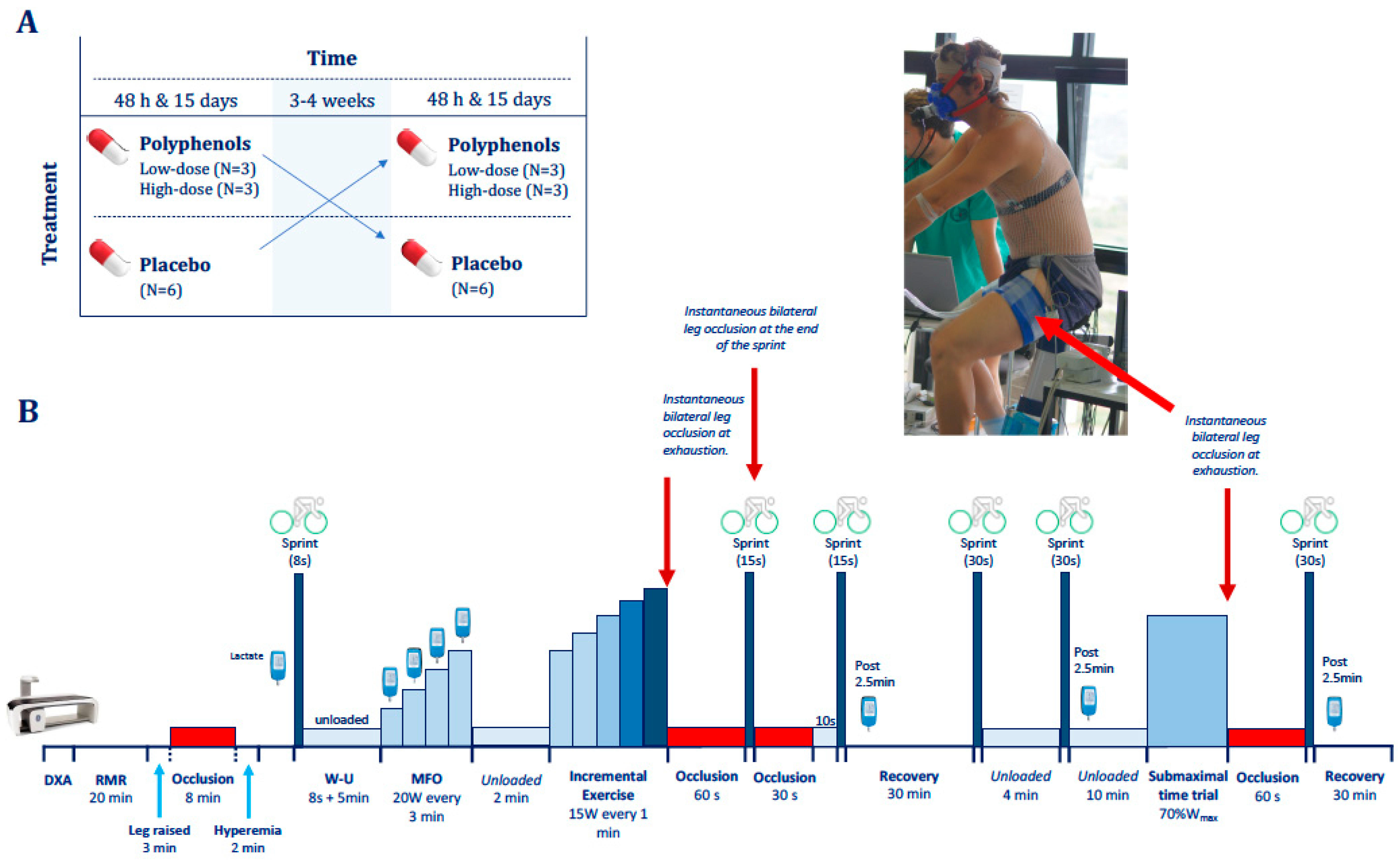 Nutrients 11 00344 g001