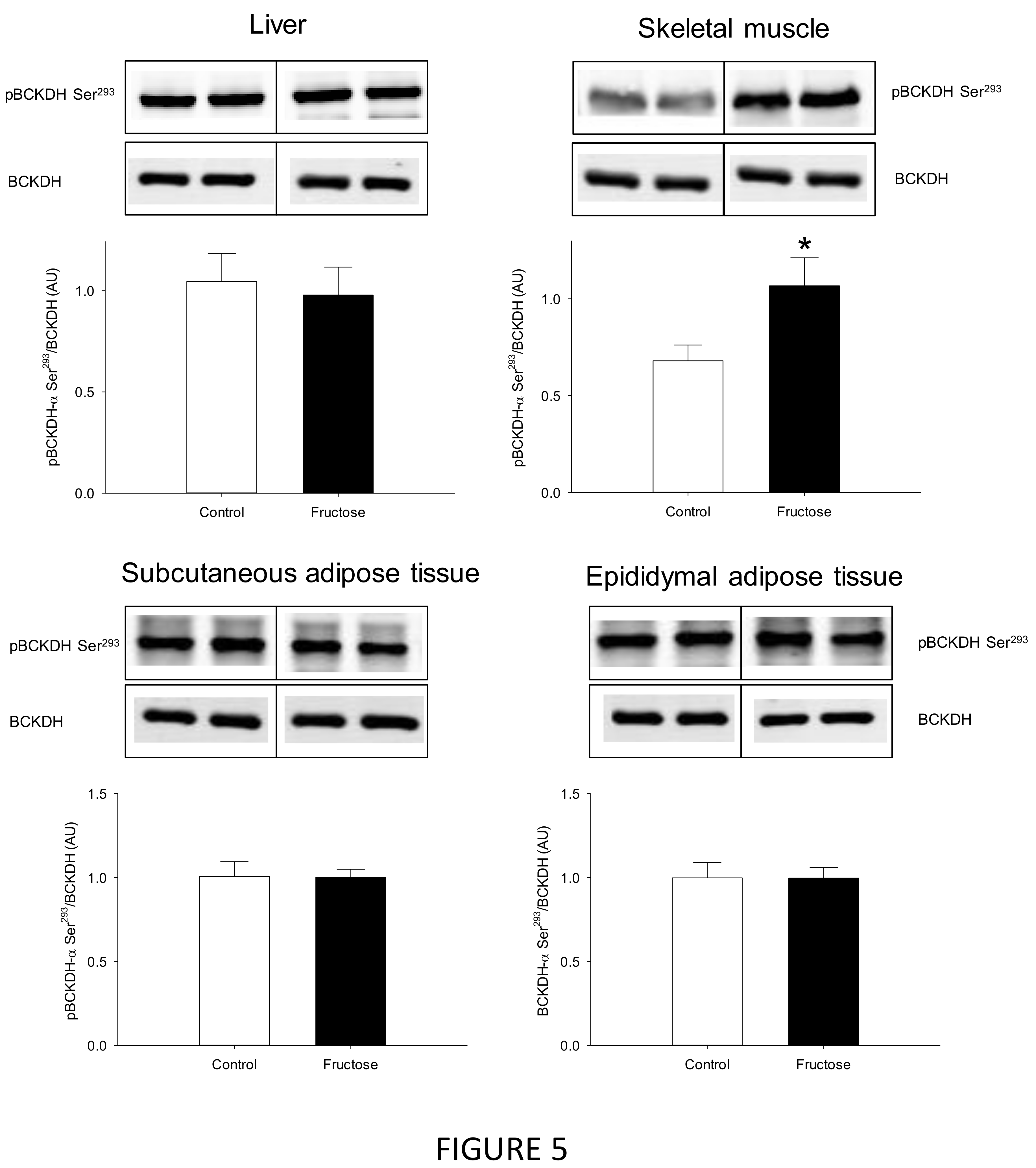 Nutrients 11 00355 g005 Nutrients 11 00355 g005