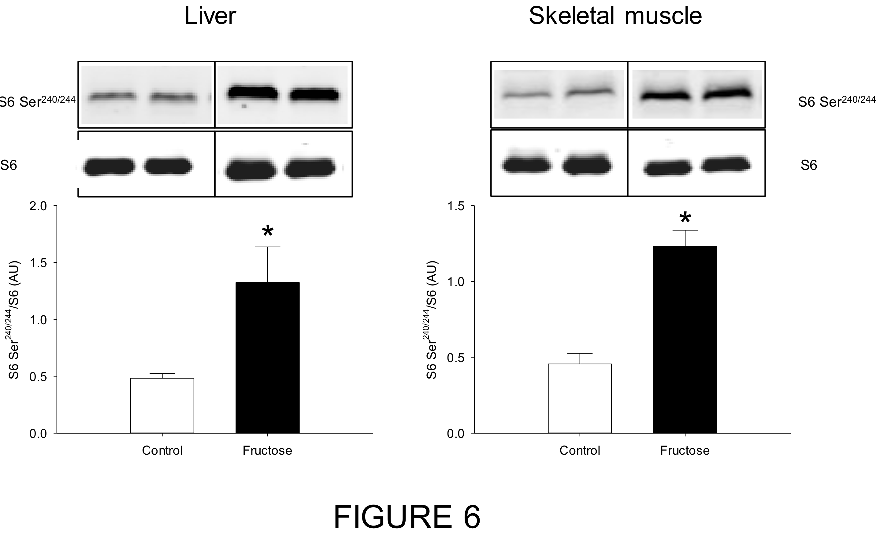 Nutrients 11 00355 g006 Nutrients 11 00355 g006