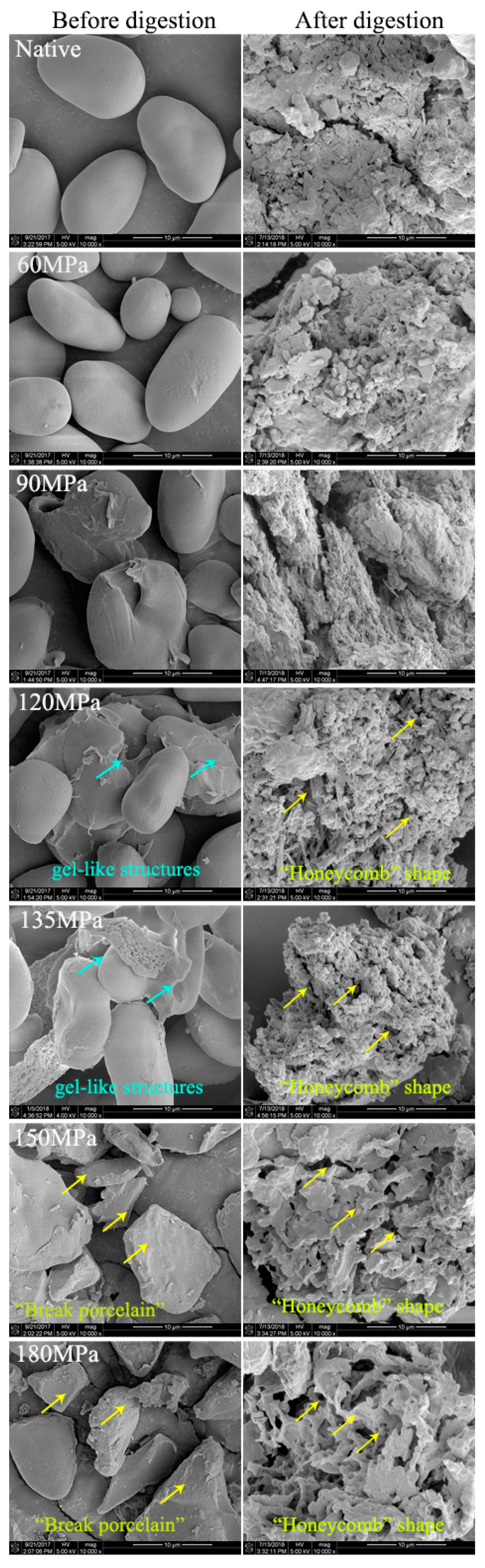 Nutrients 11 00371 g003