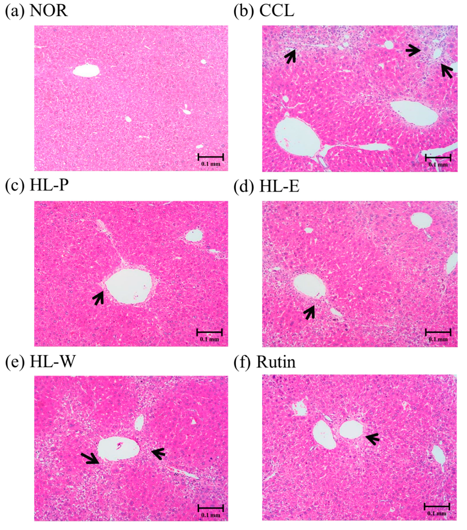 Nutrients 11 00395 g003