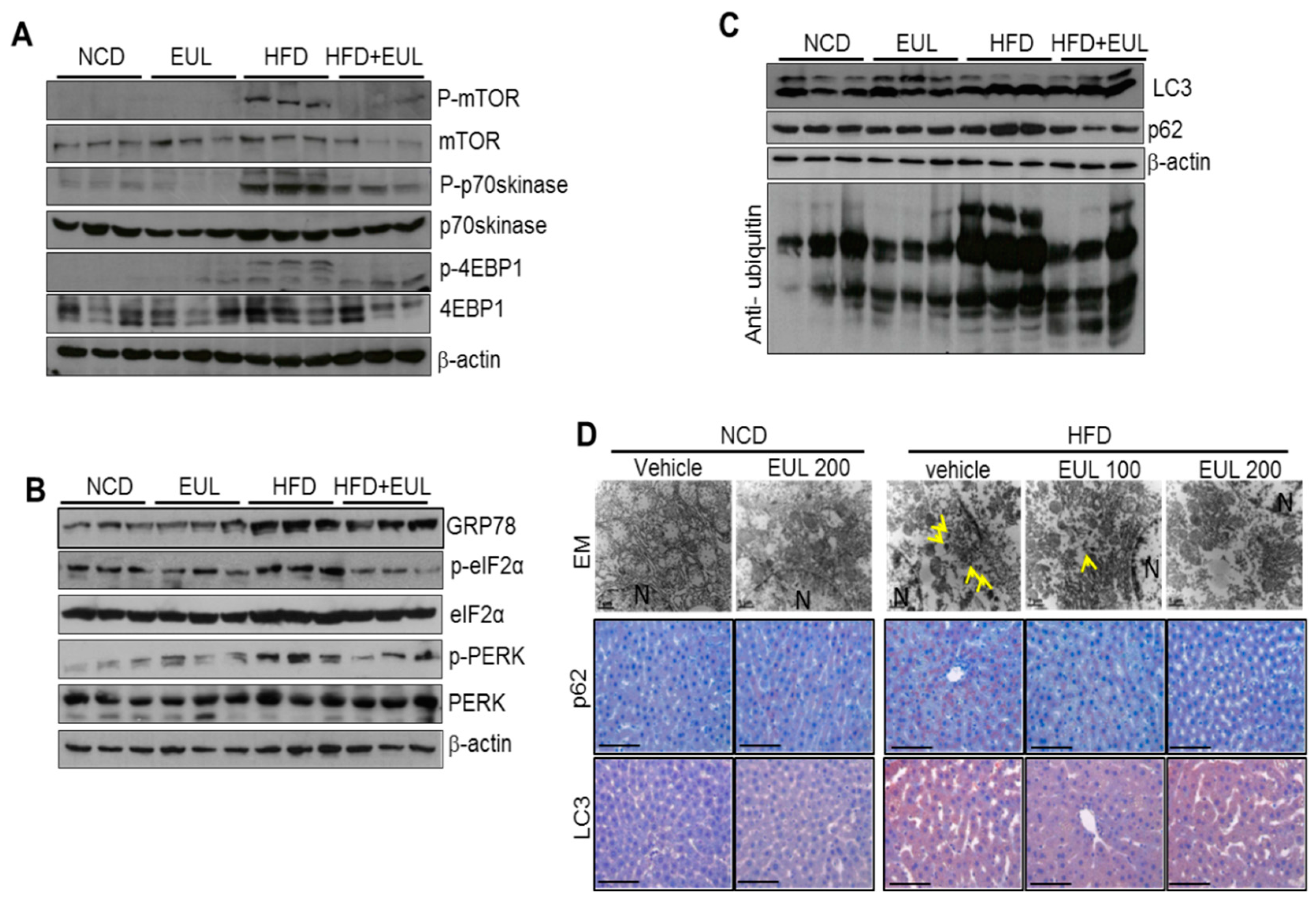 Nutrients 11 00426 g003