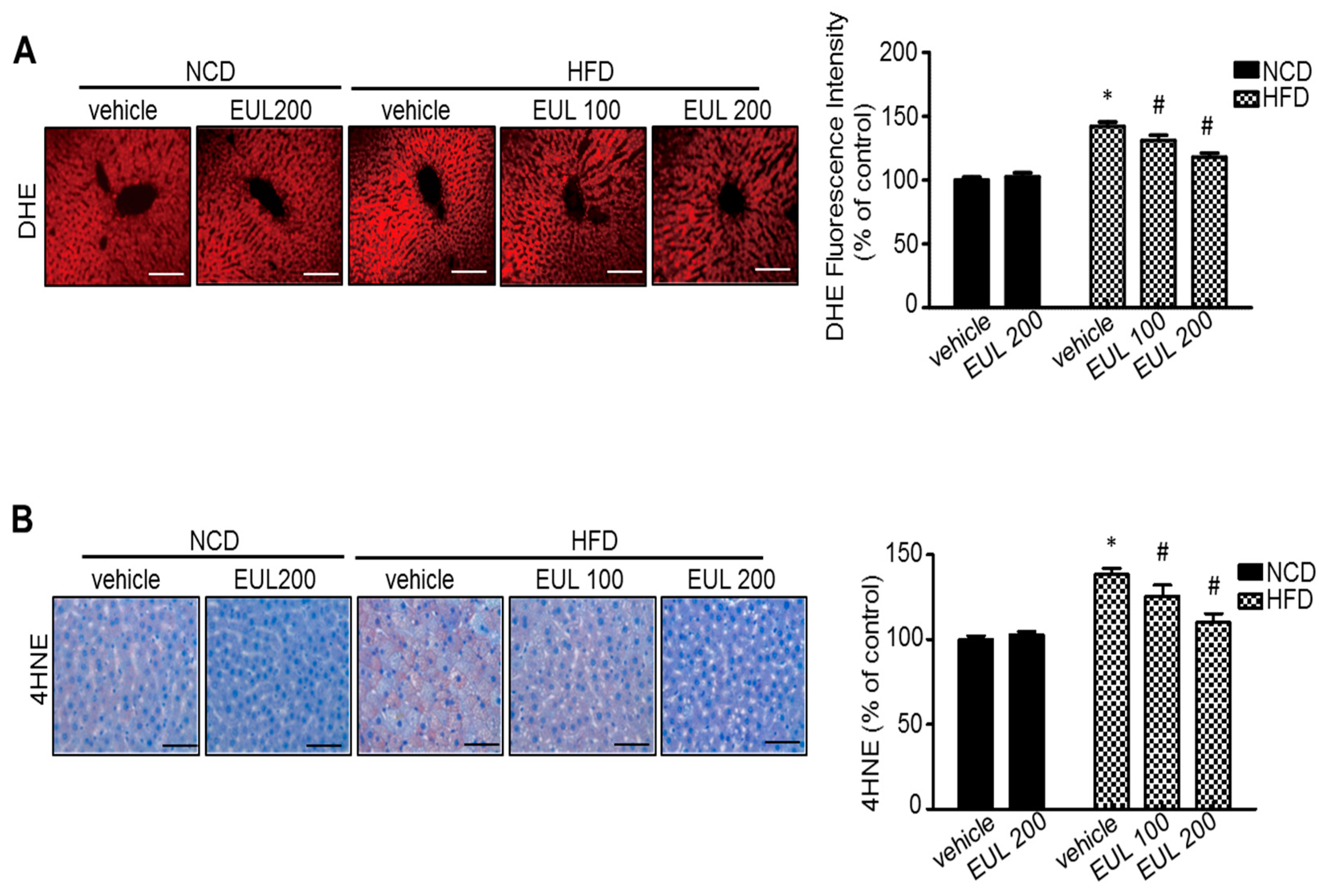 Nutrients 11 00426 g004
