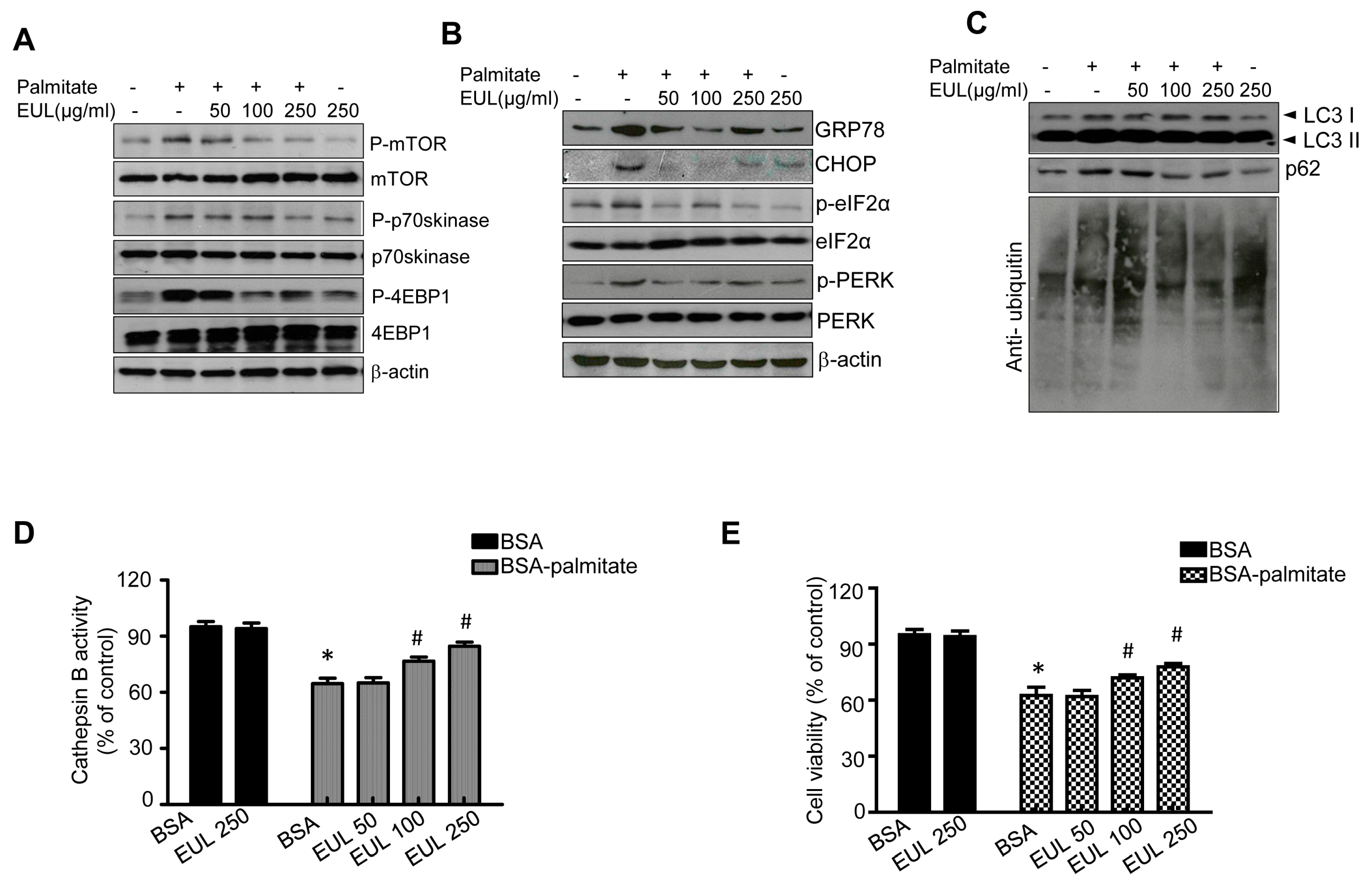 Nutrients 11 00426 g007