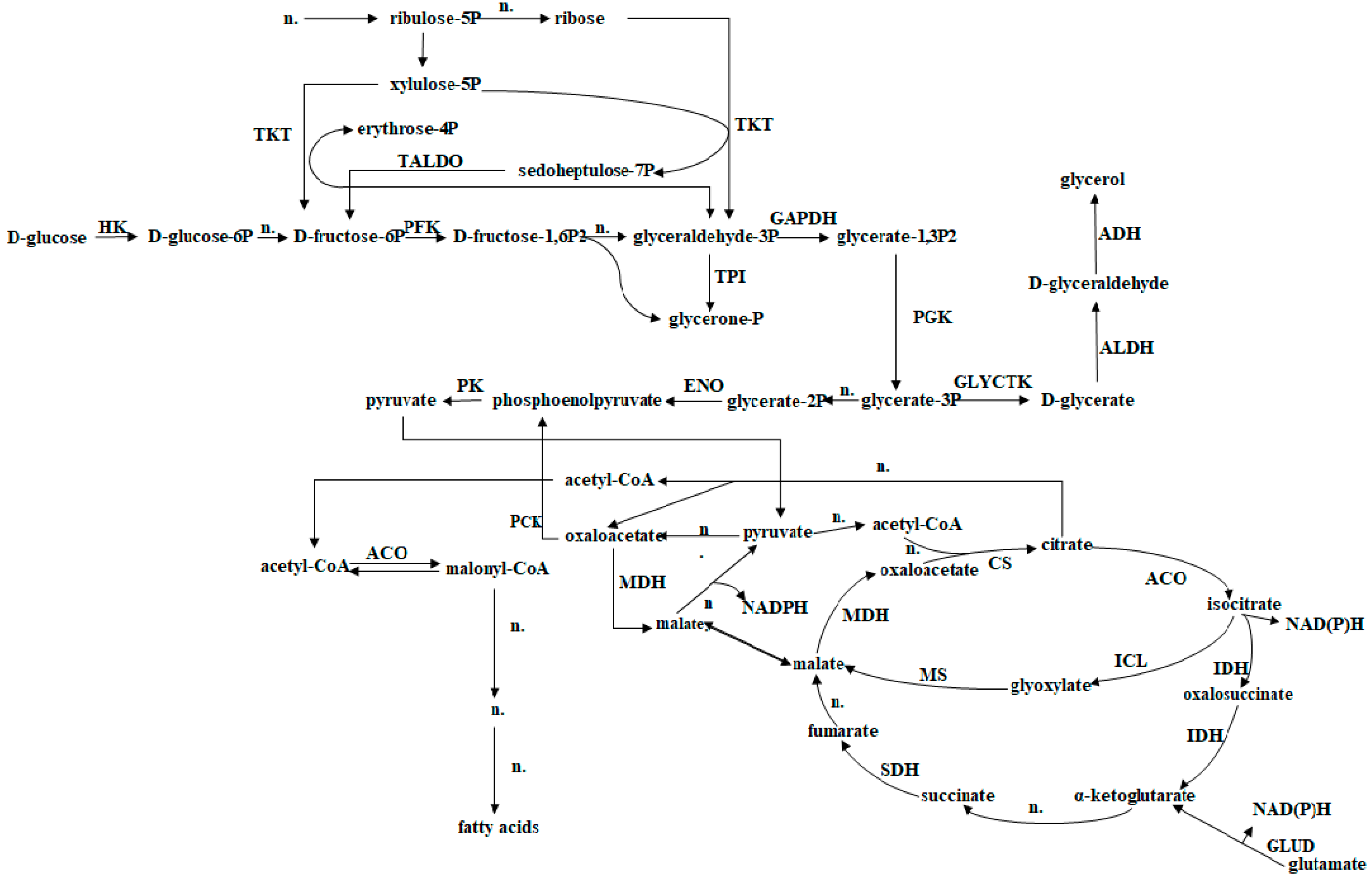 Nutrients 11 00471 g001