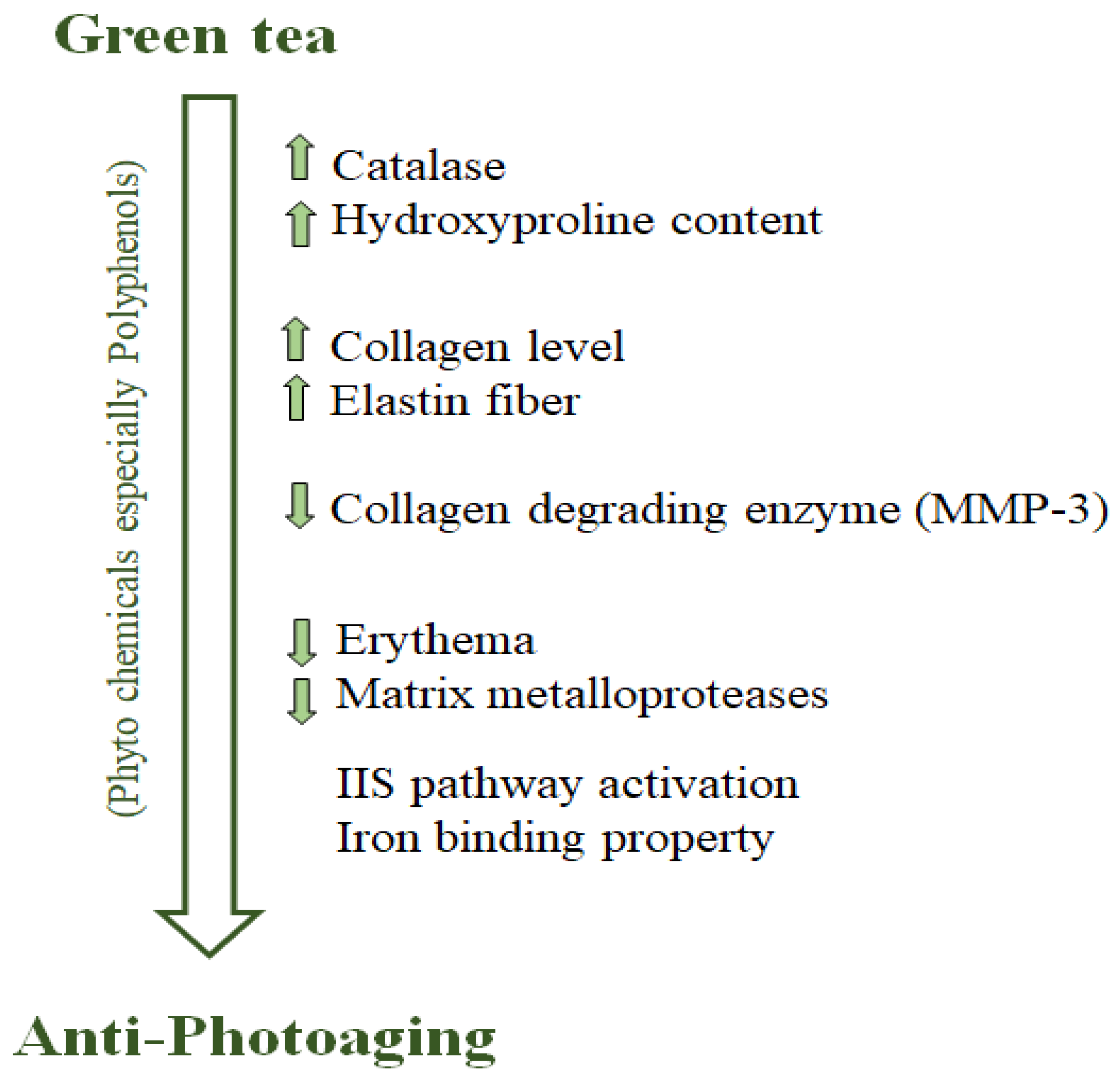 Nutrients 11 00474 g001