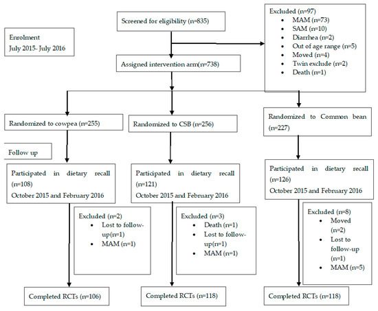 2 2 2 Nutritional Terms Chart