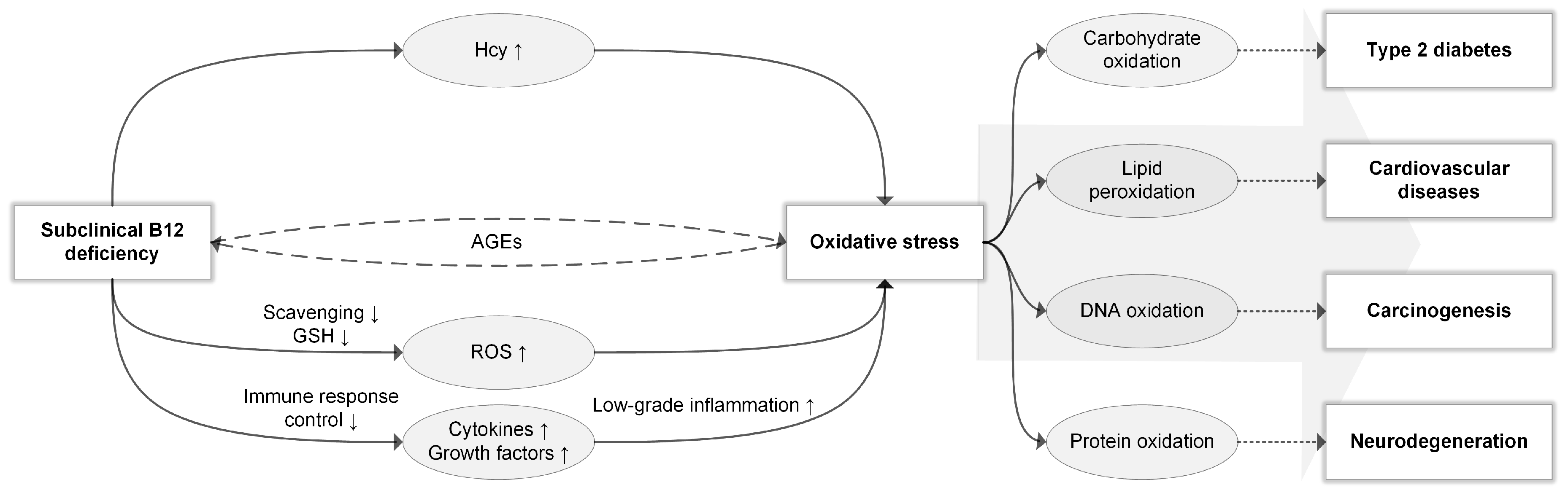 Nutrients 11 00482 g001