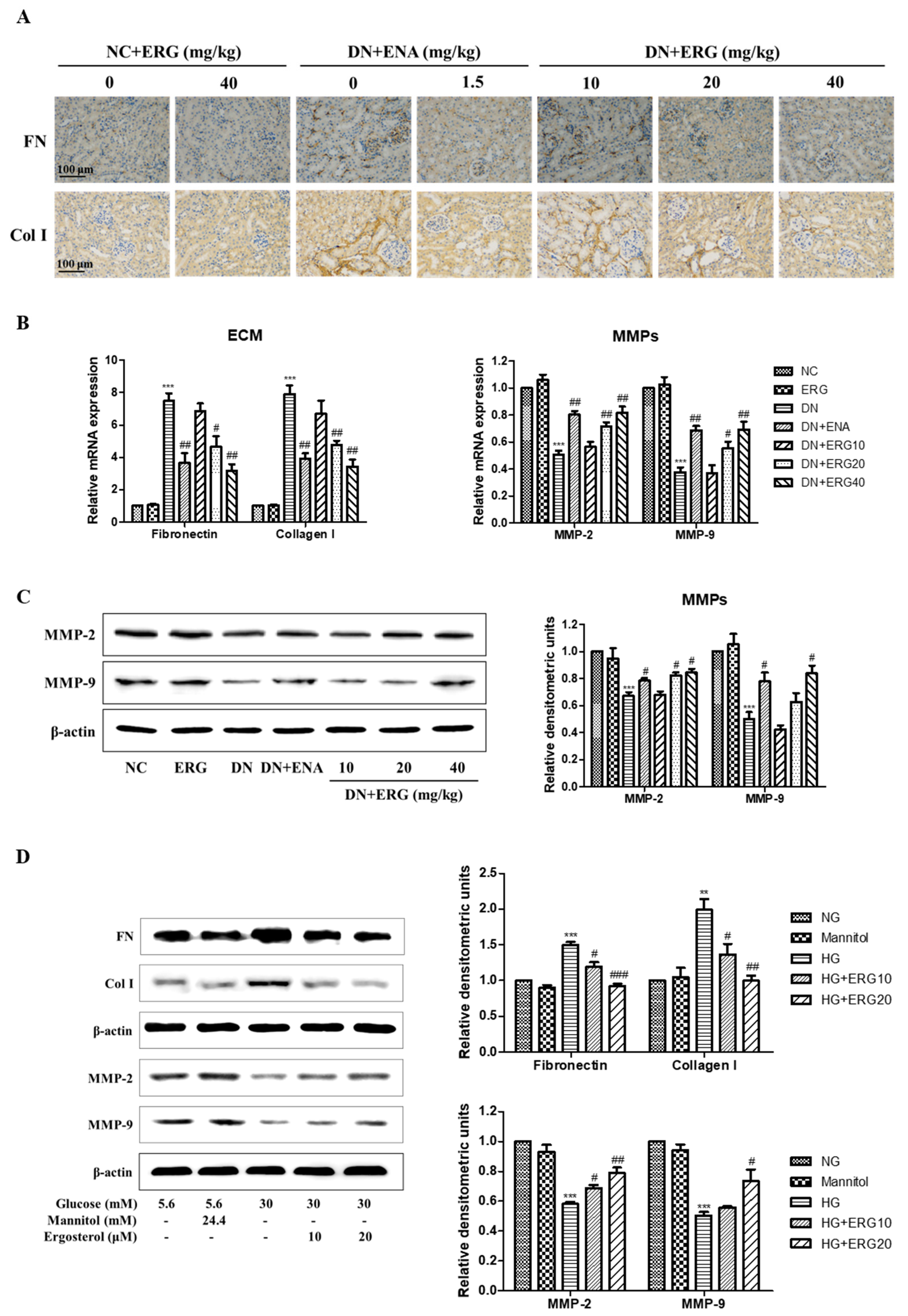 Nutrients 11 00483 g005 Nutrients 11 00483 g005
