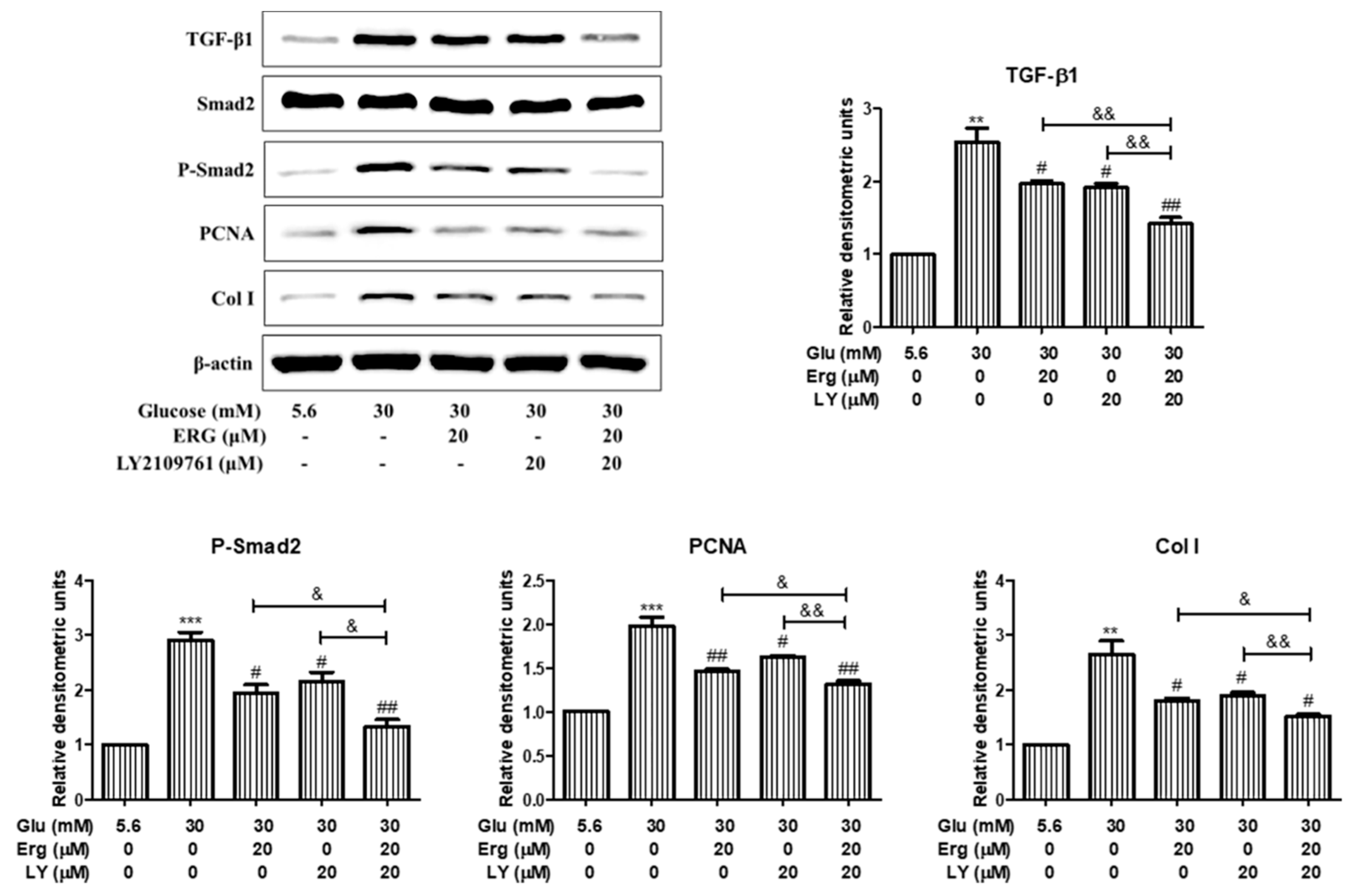 Nutrients 11 00483 g008 Nutrients 11 00483 g008