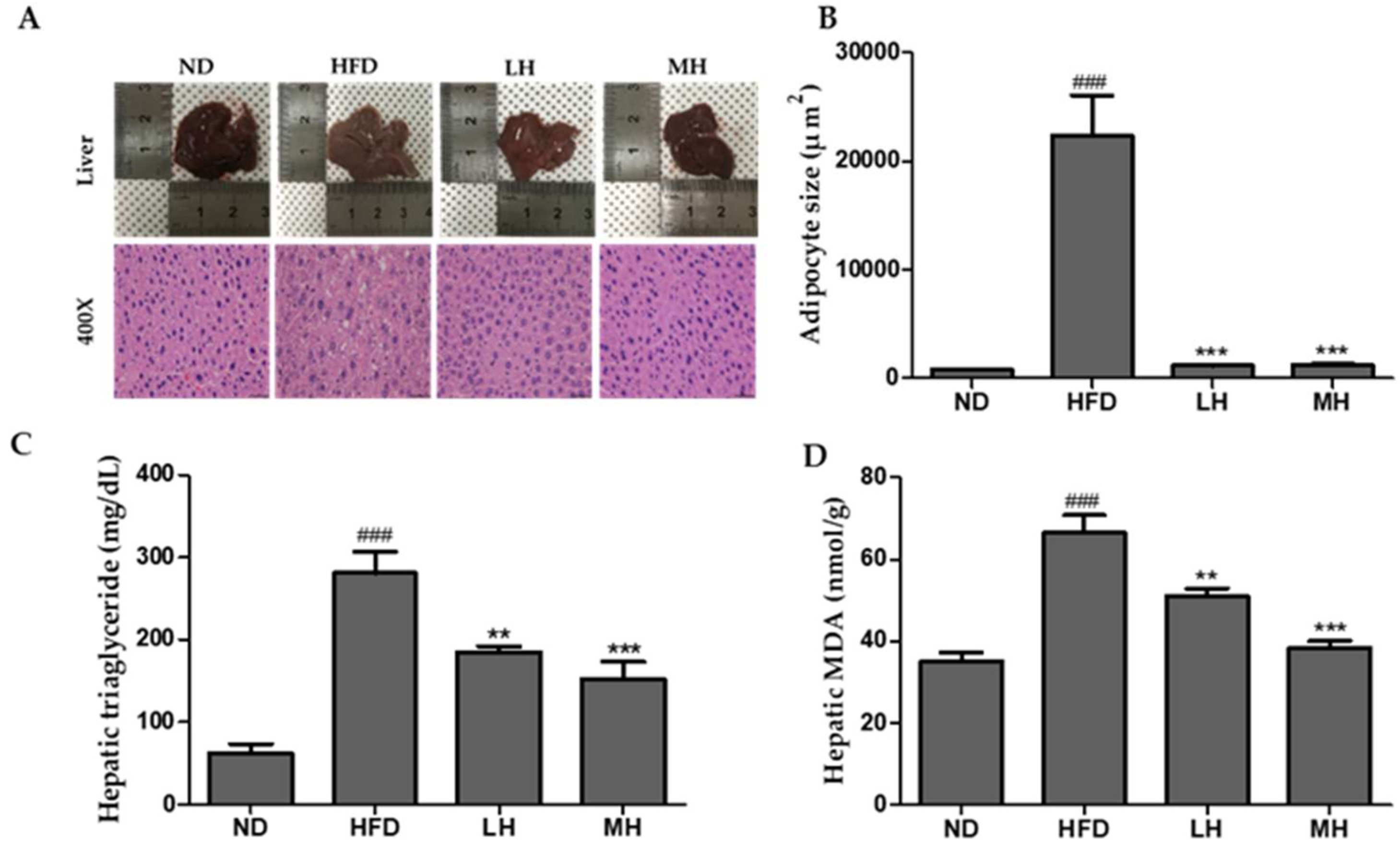 Nutrients 11 00494 g006