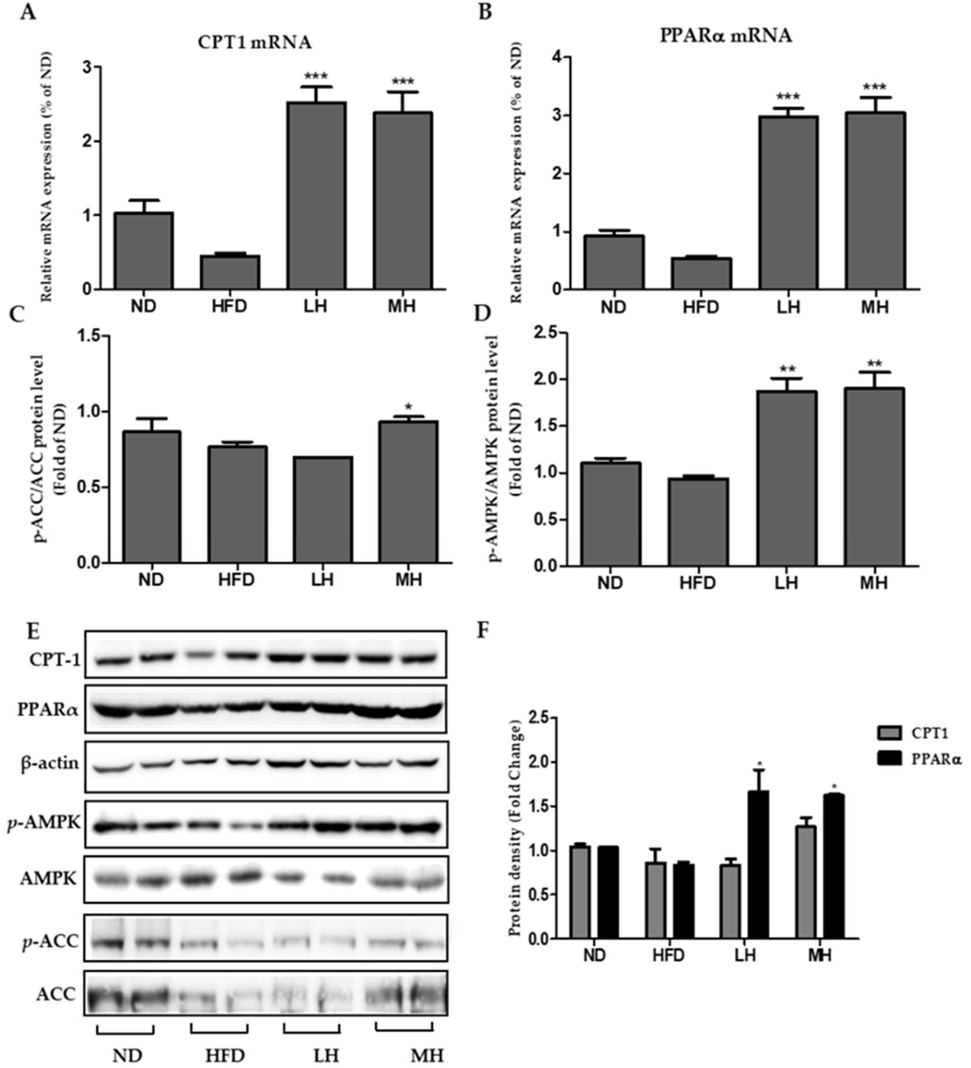 Nutrients 11 00494 g008
