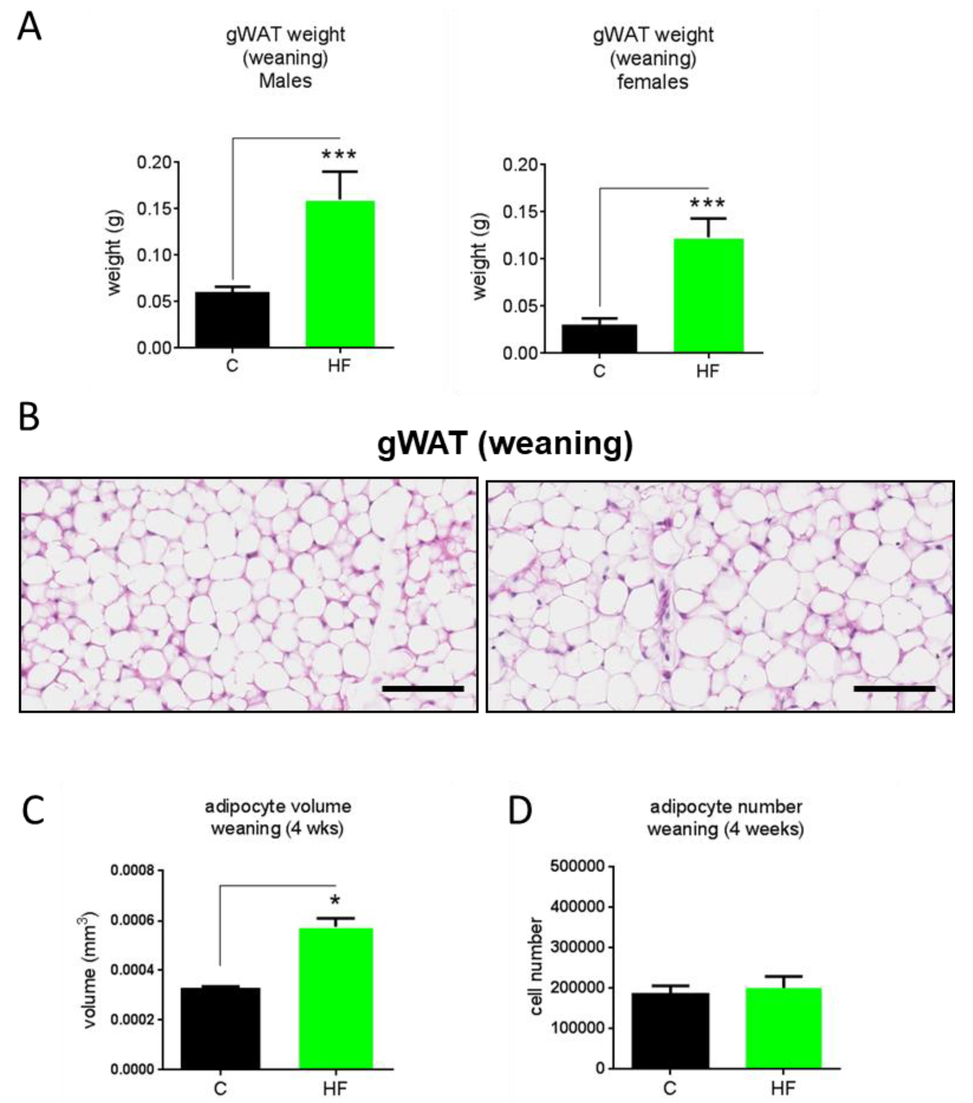 Nutrients 11 00495 g003 Nutrients 11 00495 g003