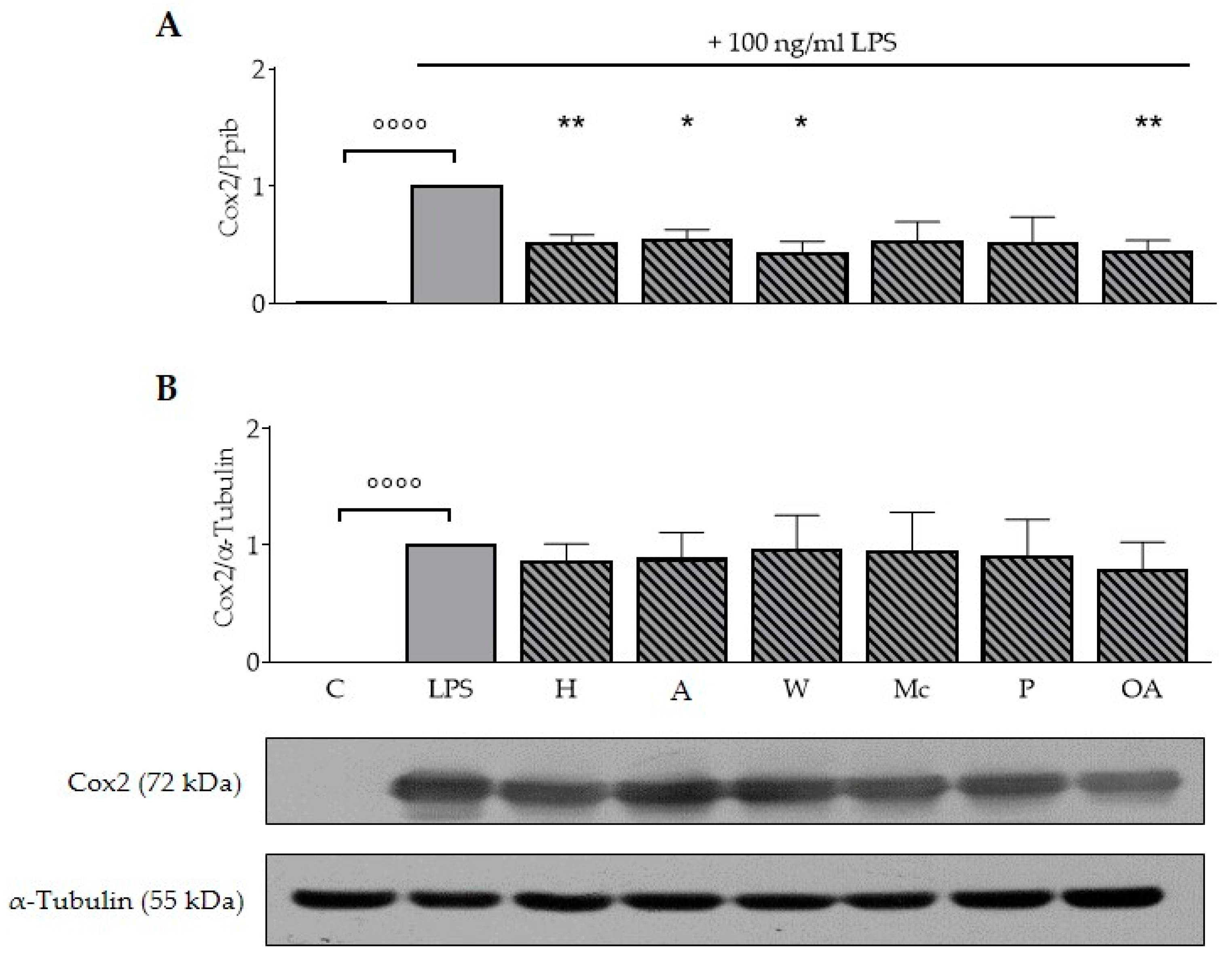 Nutrients 11 00503 g002