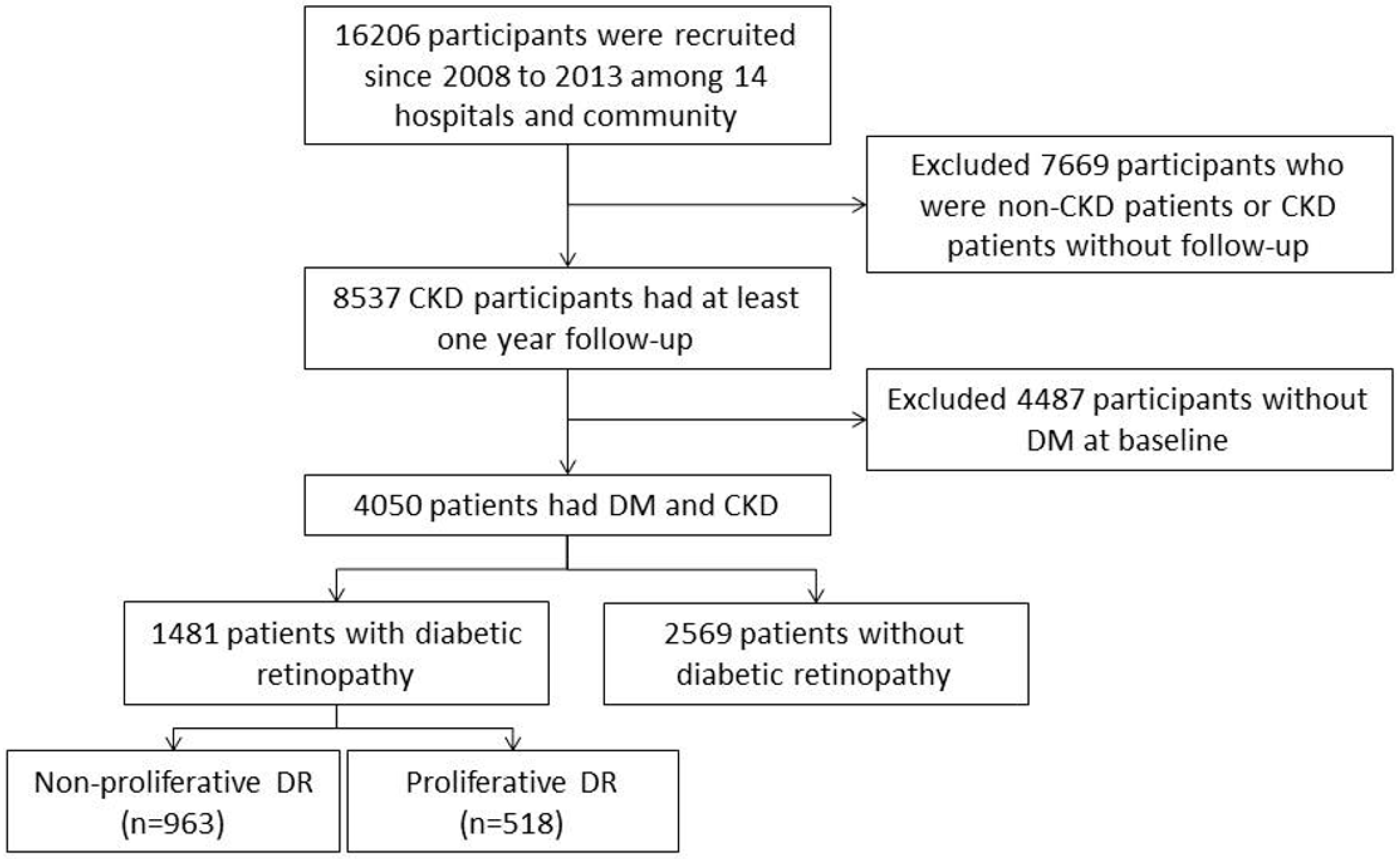 diabetic nephropathy vs ckd