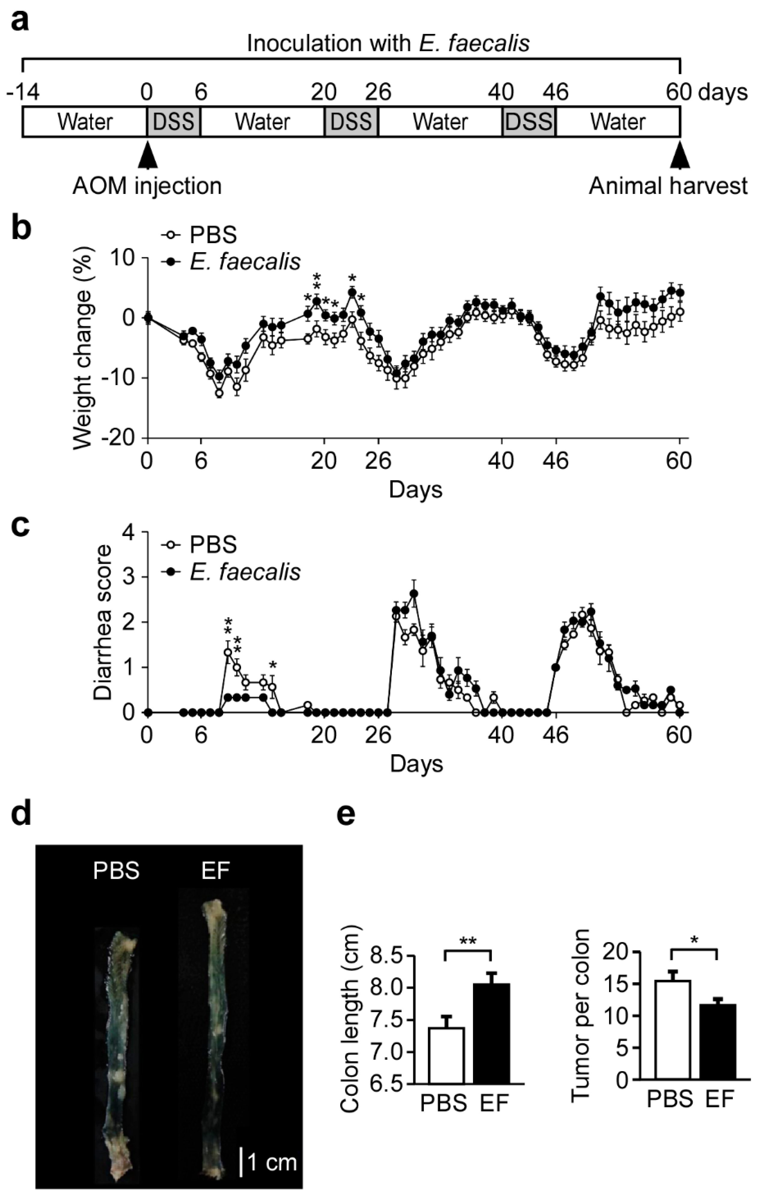 Nutrients 11 00516 g005 Nutrients 11 00516 g005