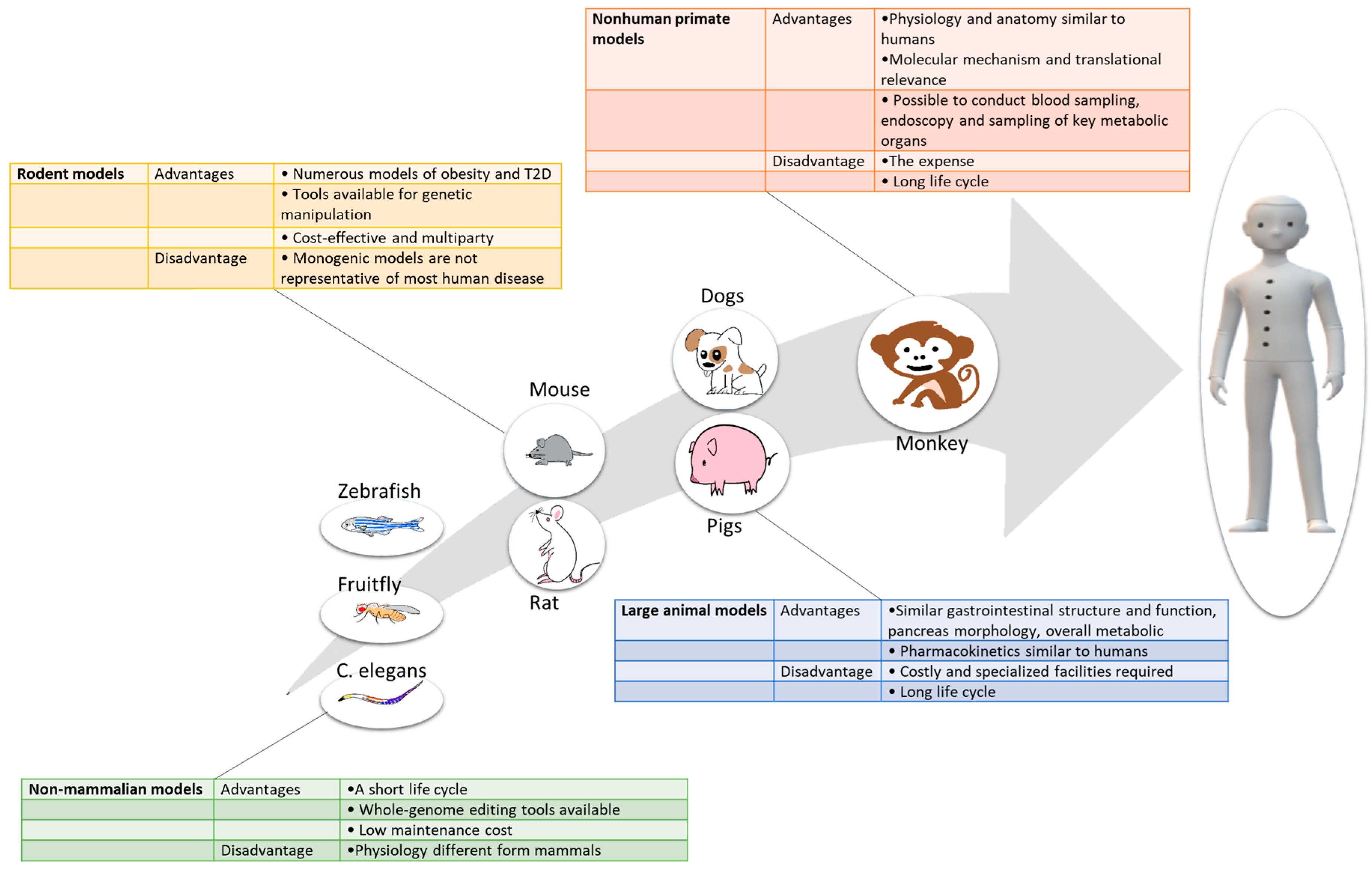 Nutrients 11 00530 g002 Nutrients 11 00530 g002