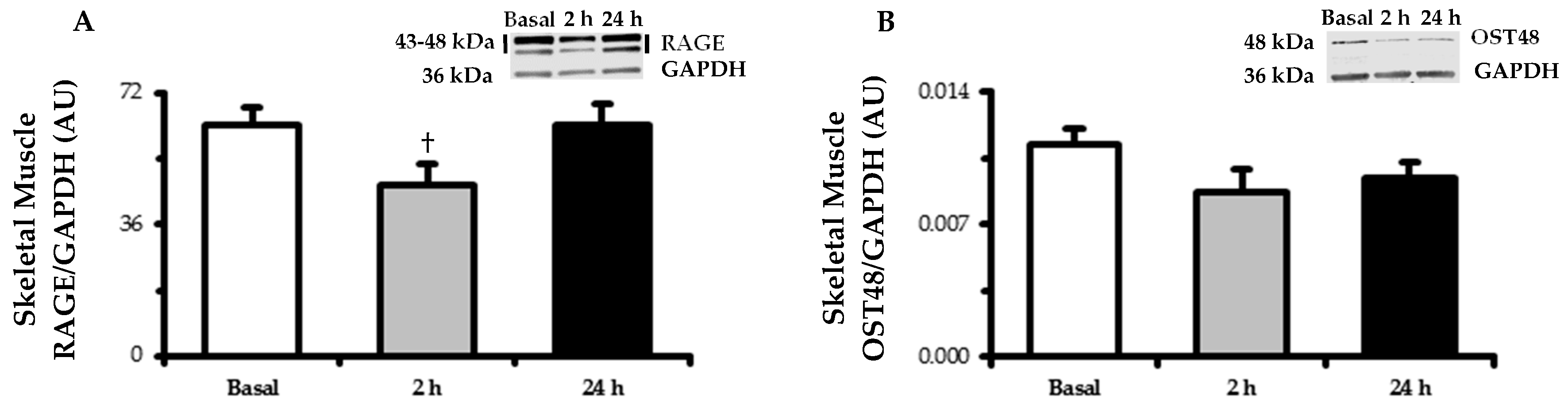 Nutrients 11 00532 g002 Nutrients 11 00532 g002
