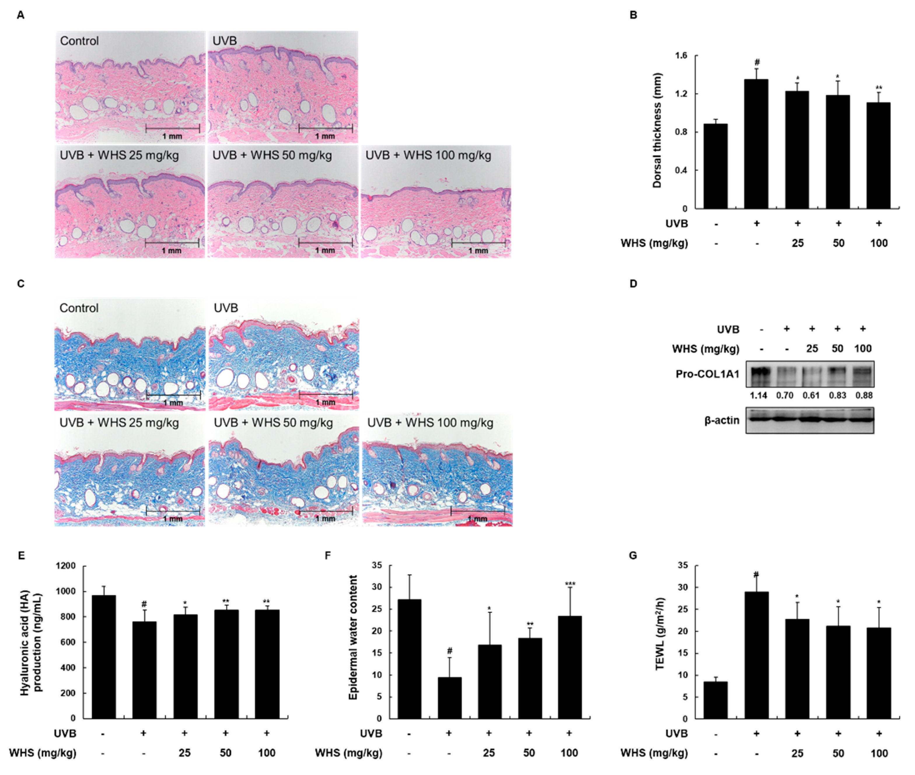 Nutrients 11 00533 g005