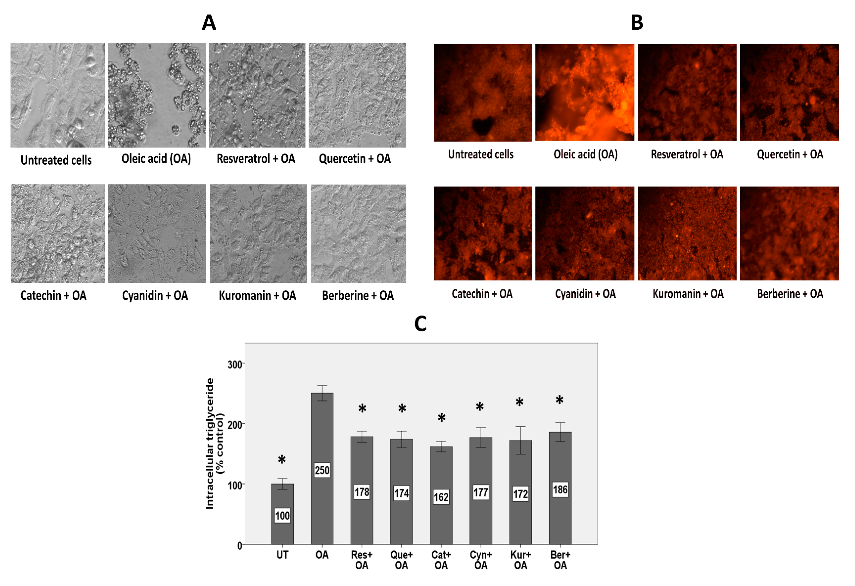 Nutrients 11 00541 g001