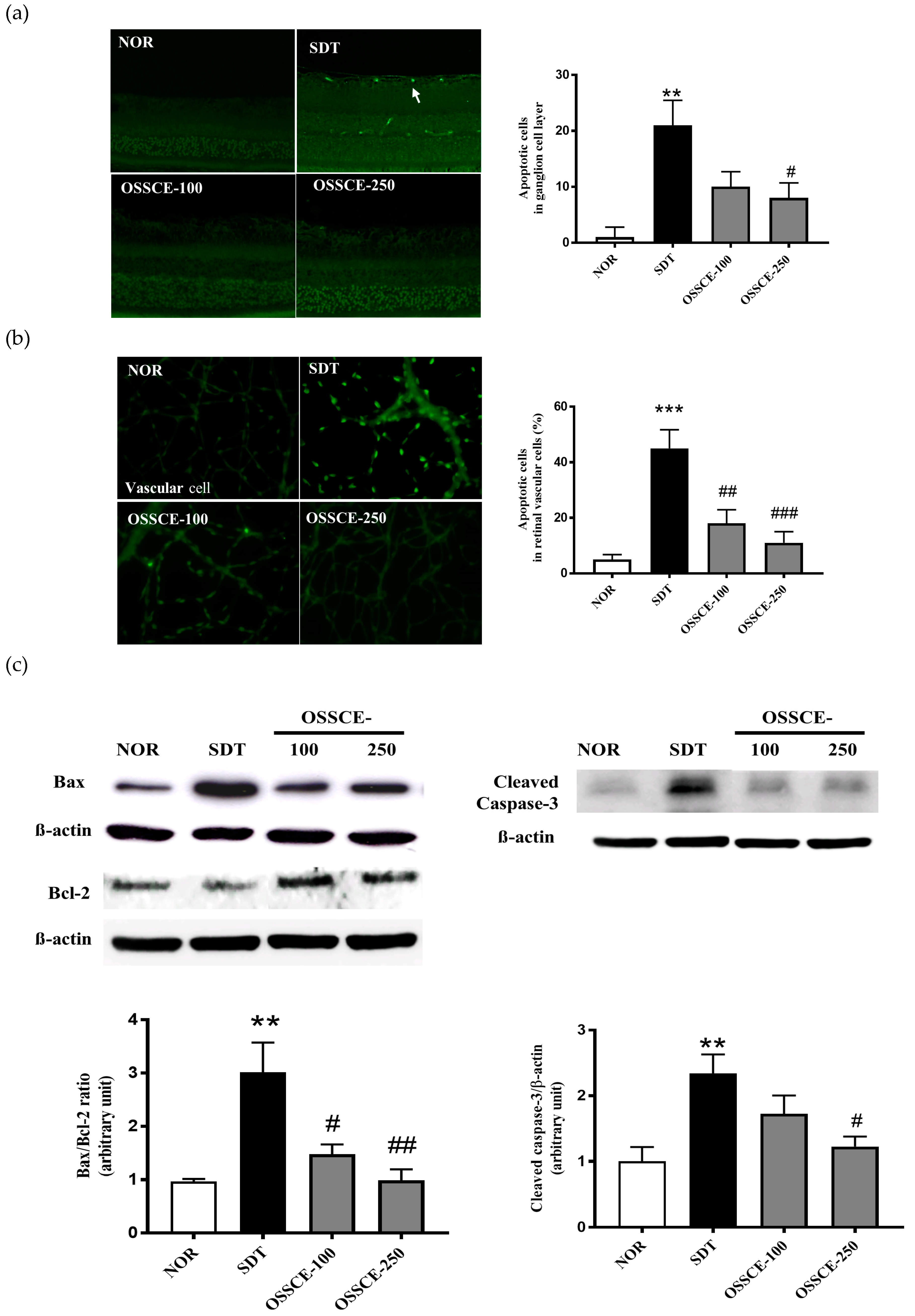 Nutrients 11 00546 g003a