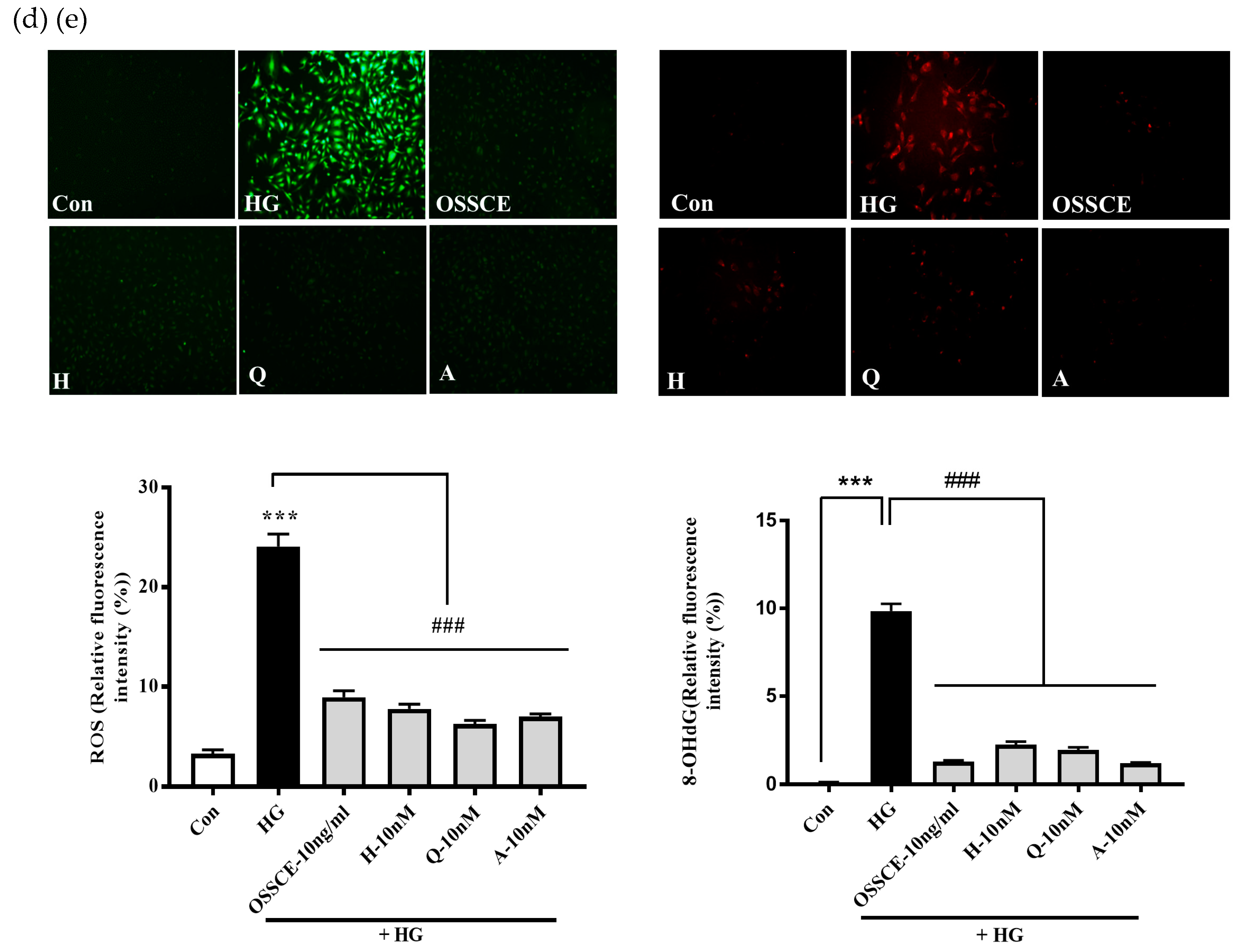 Nutrients 11 00546 g003b