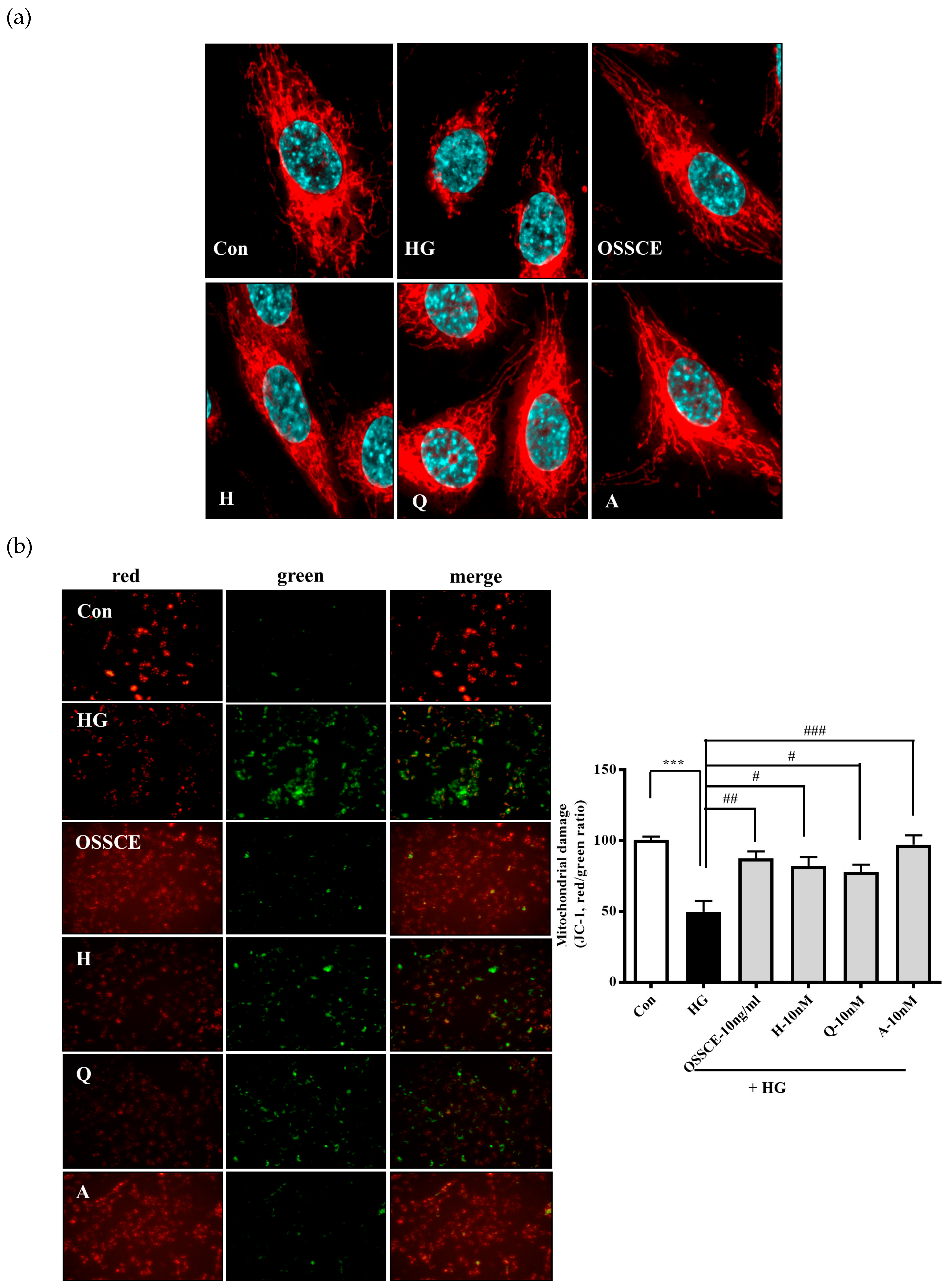 Nutrients 11 00546 g004
