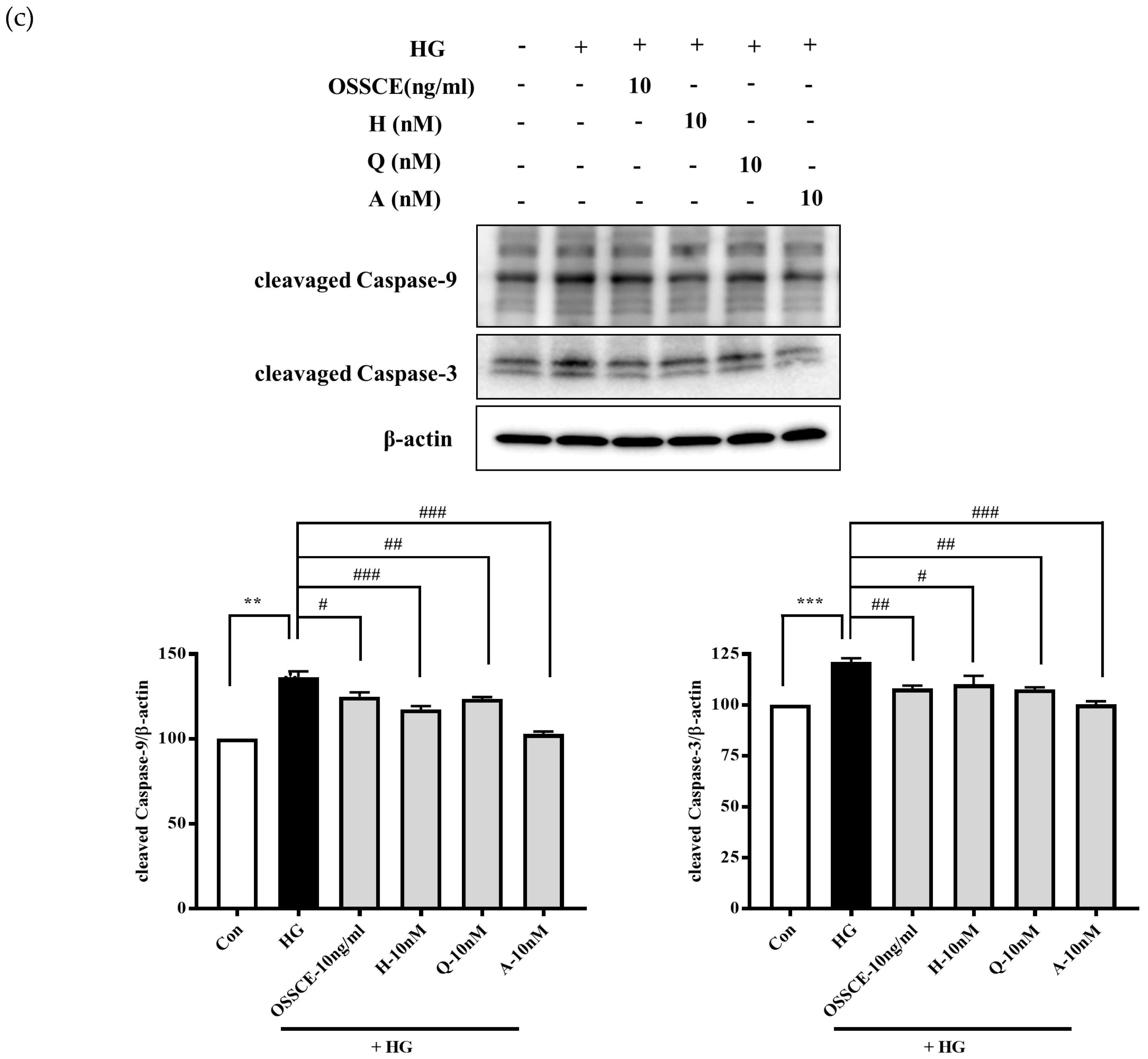 Nutrients 11 00546 g005c