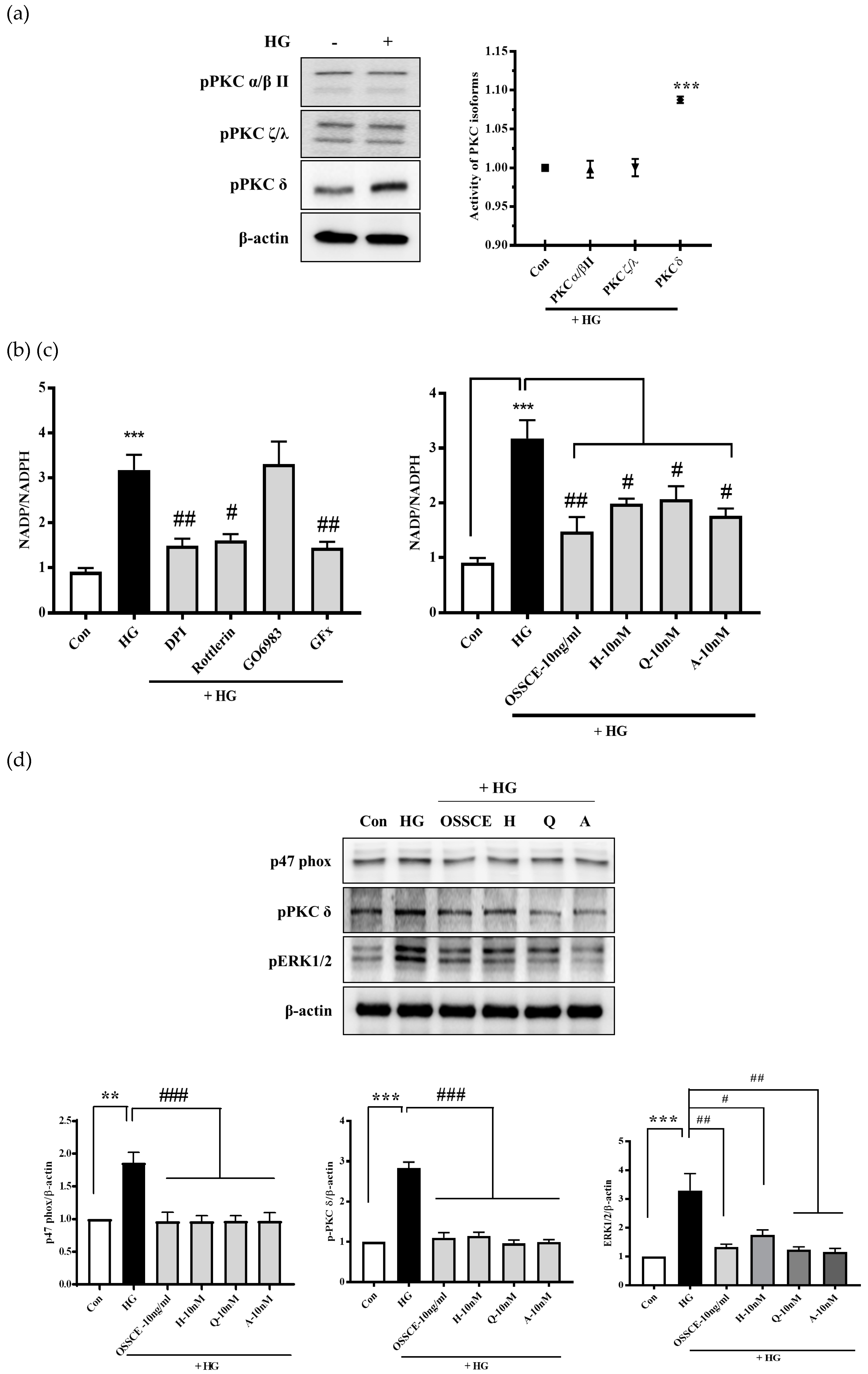 Nutrients | Free Full-Text | Improvement in Diabetic Retinopathy ...