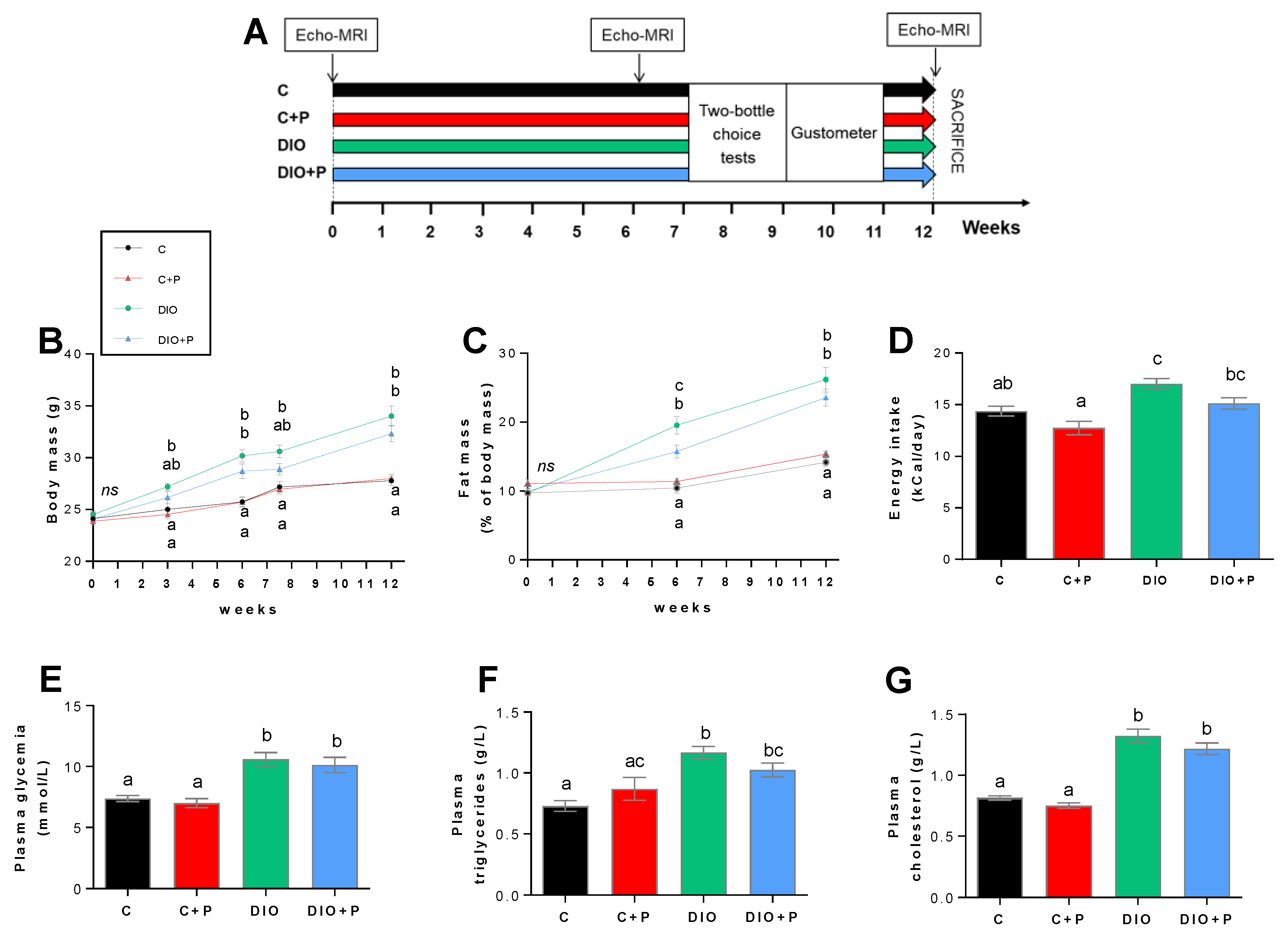 Nutrients 11 00549 g001