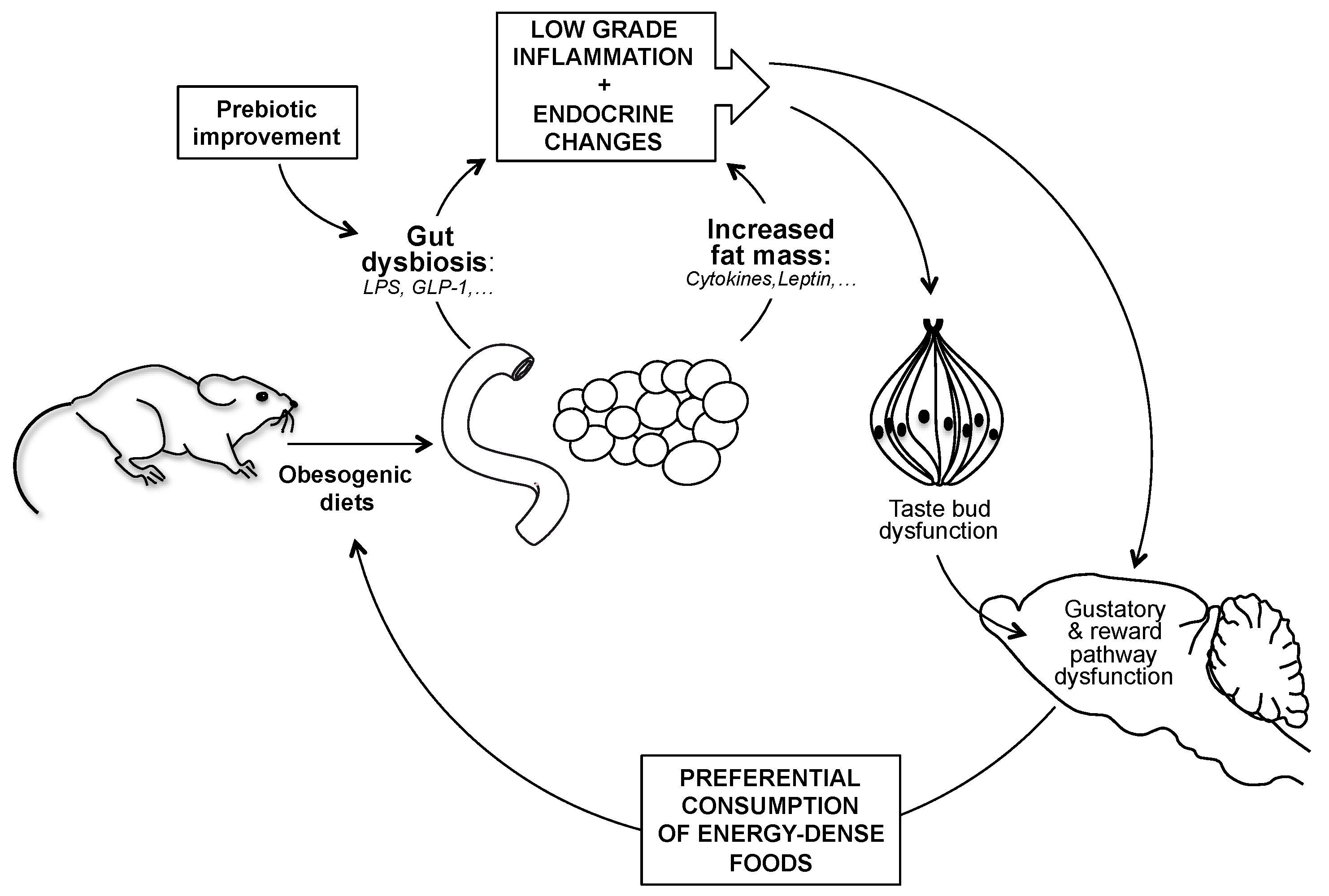 Nutrients 11 00549 g007