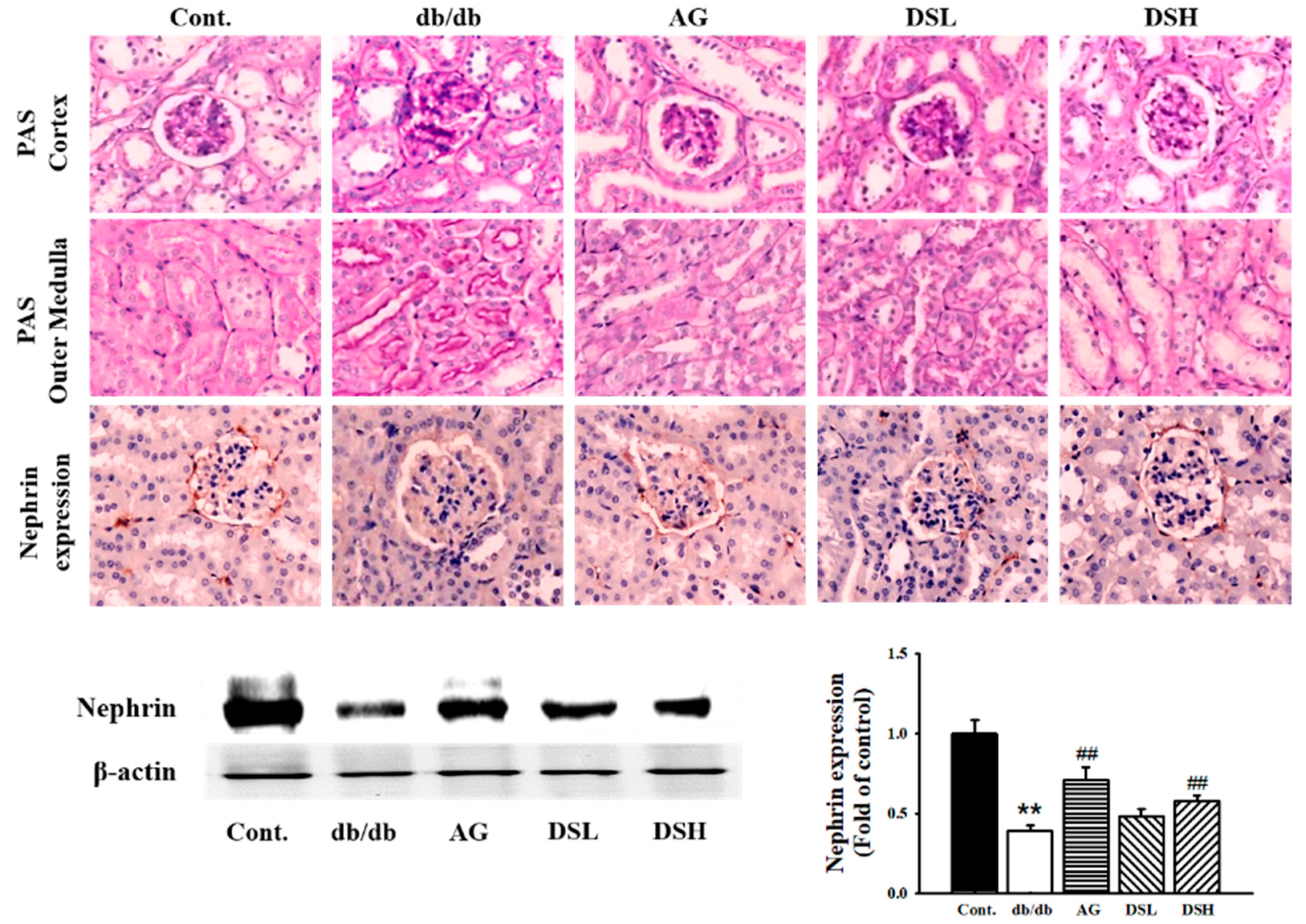 Nutrients 11 00553 g005 Nutrients 11 00553 g005