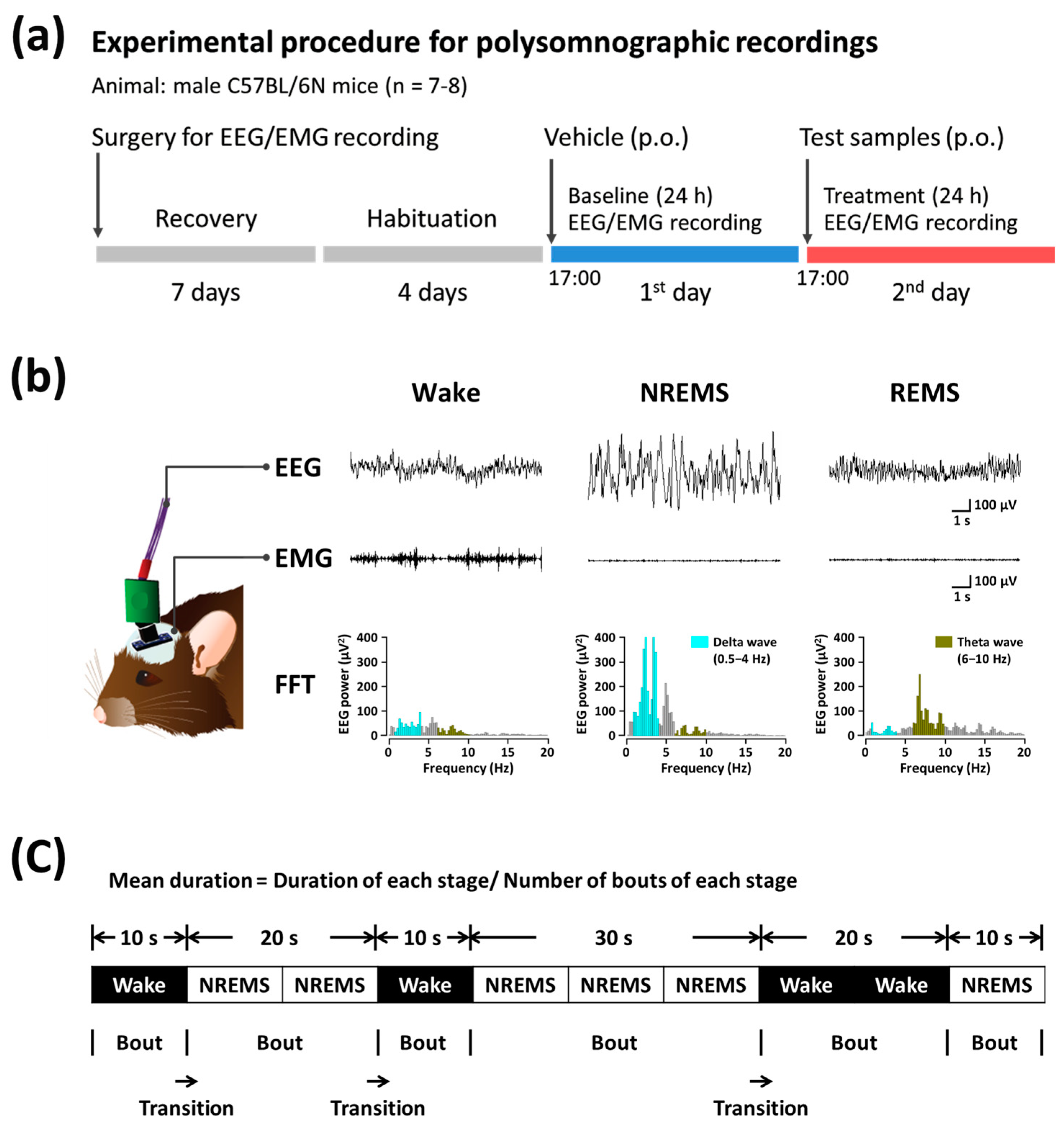 Nutrients 11 00556 g001 Nutrients 11 00556 g001