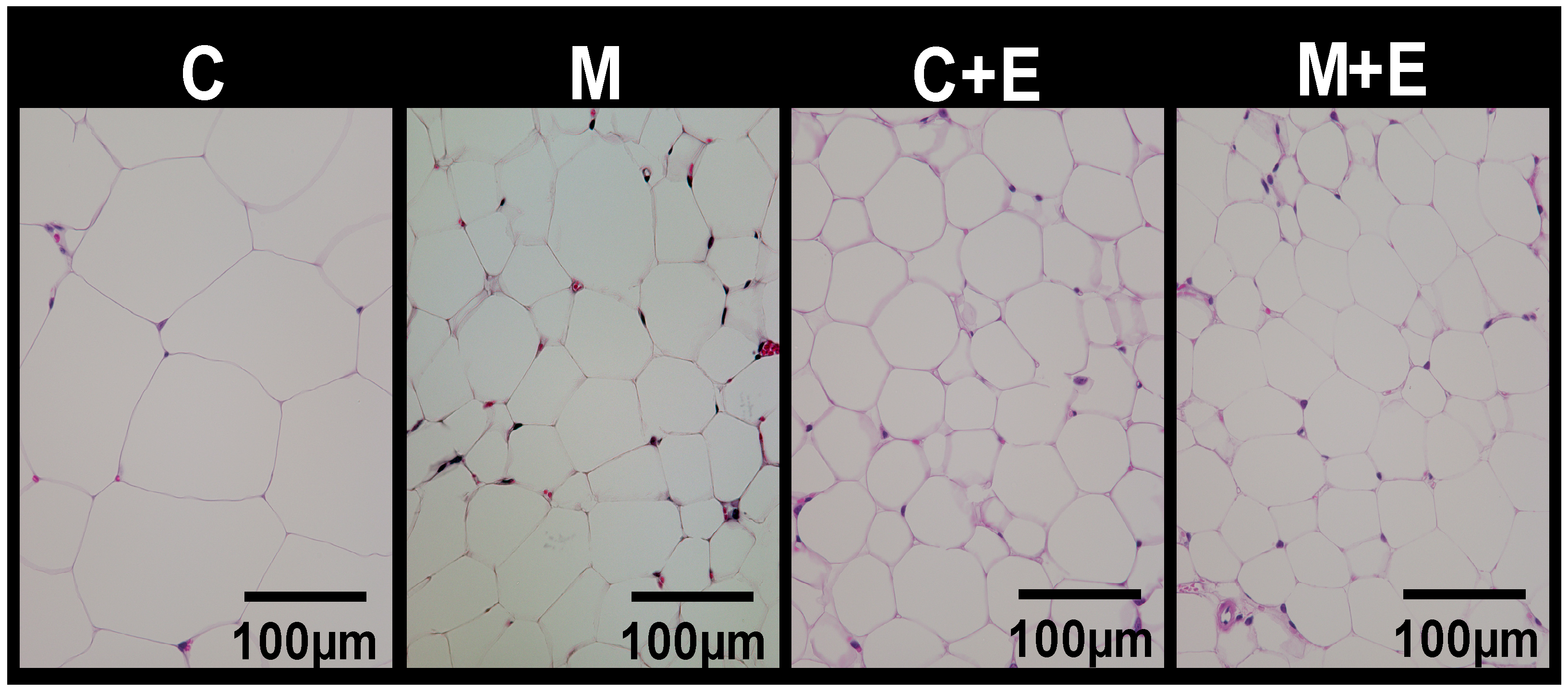 Nutrients 11 00560 g002